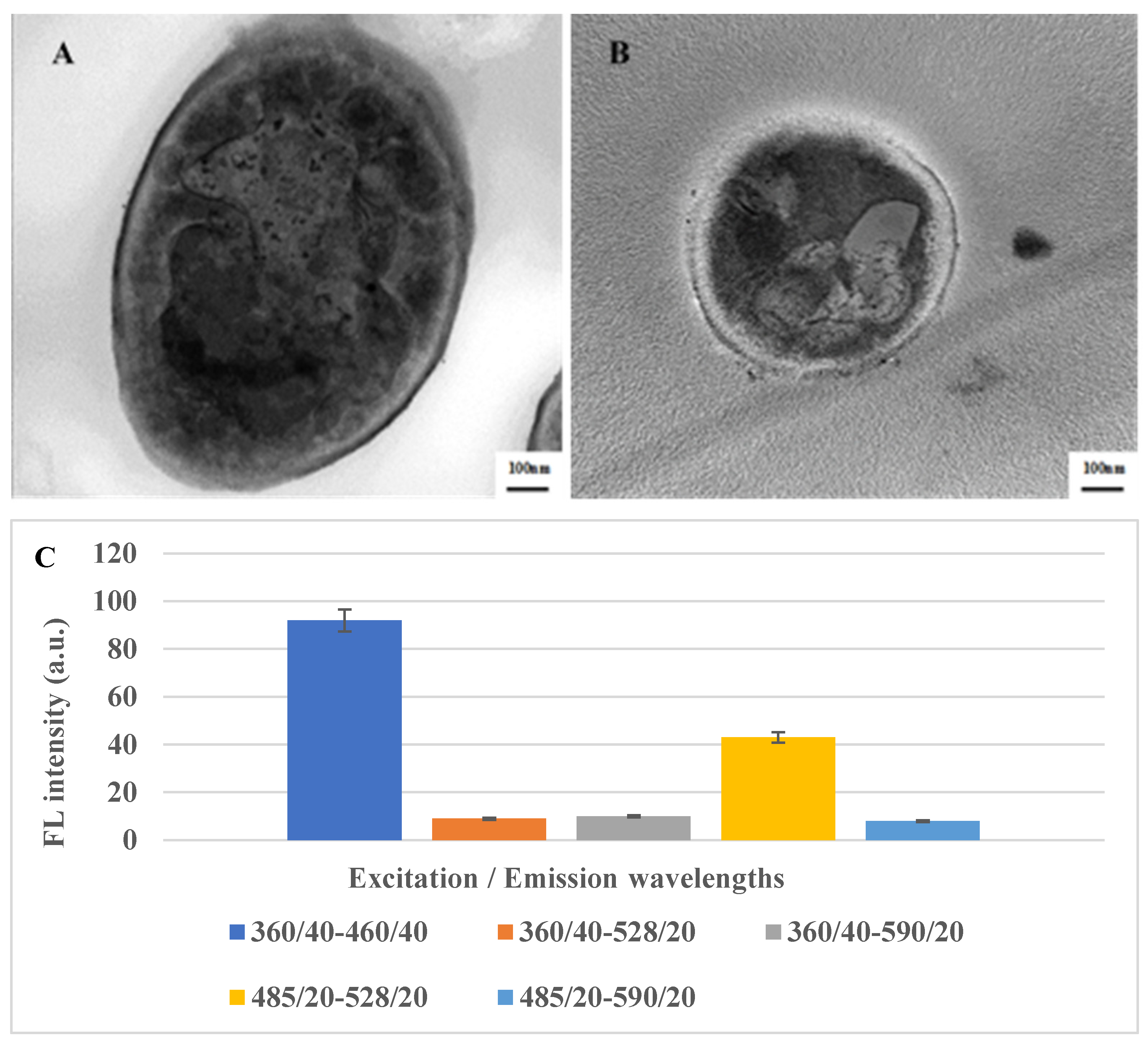 Molecules 29 01676 g001