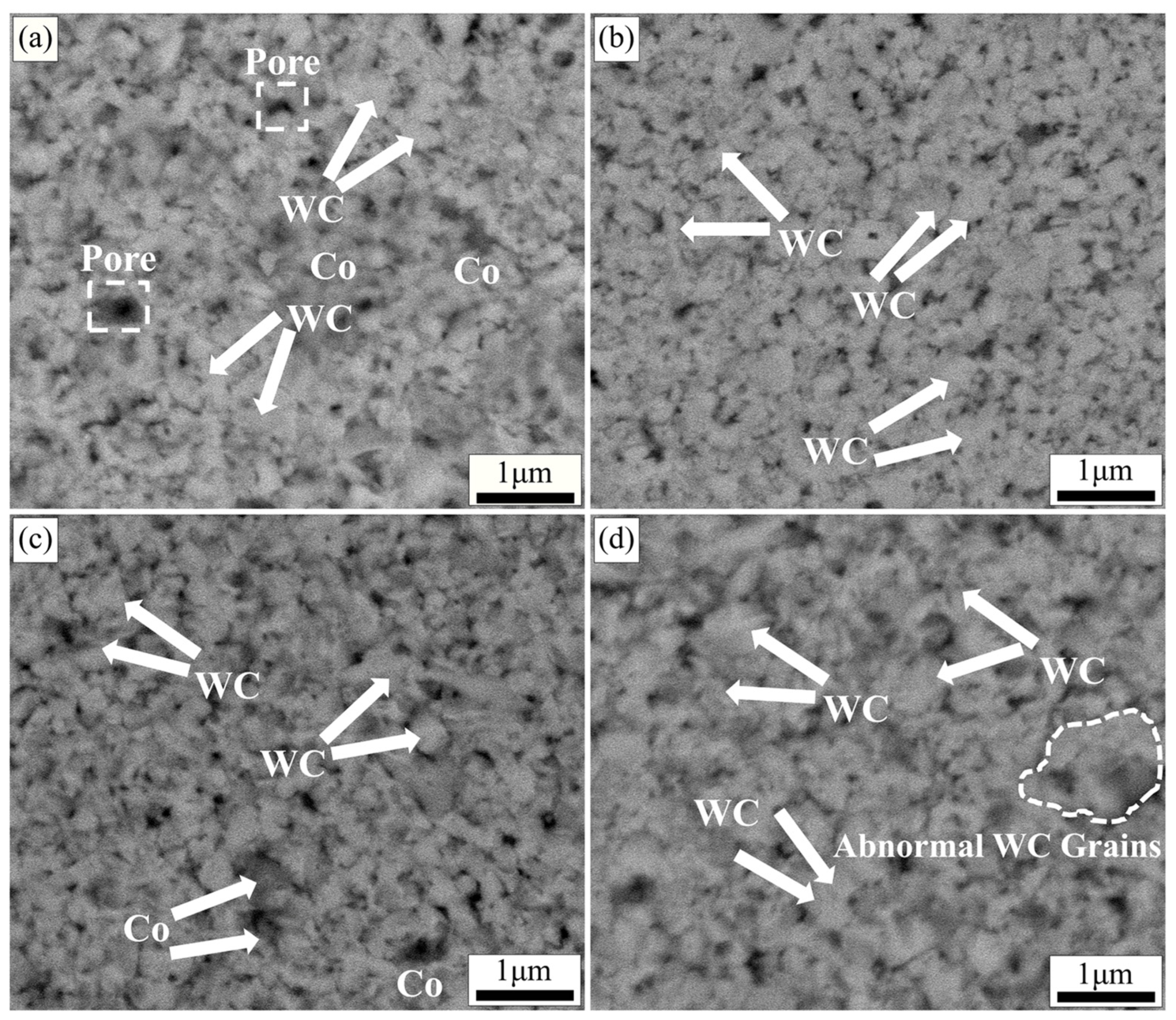Molecules 29 01678 g007