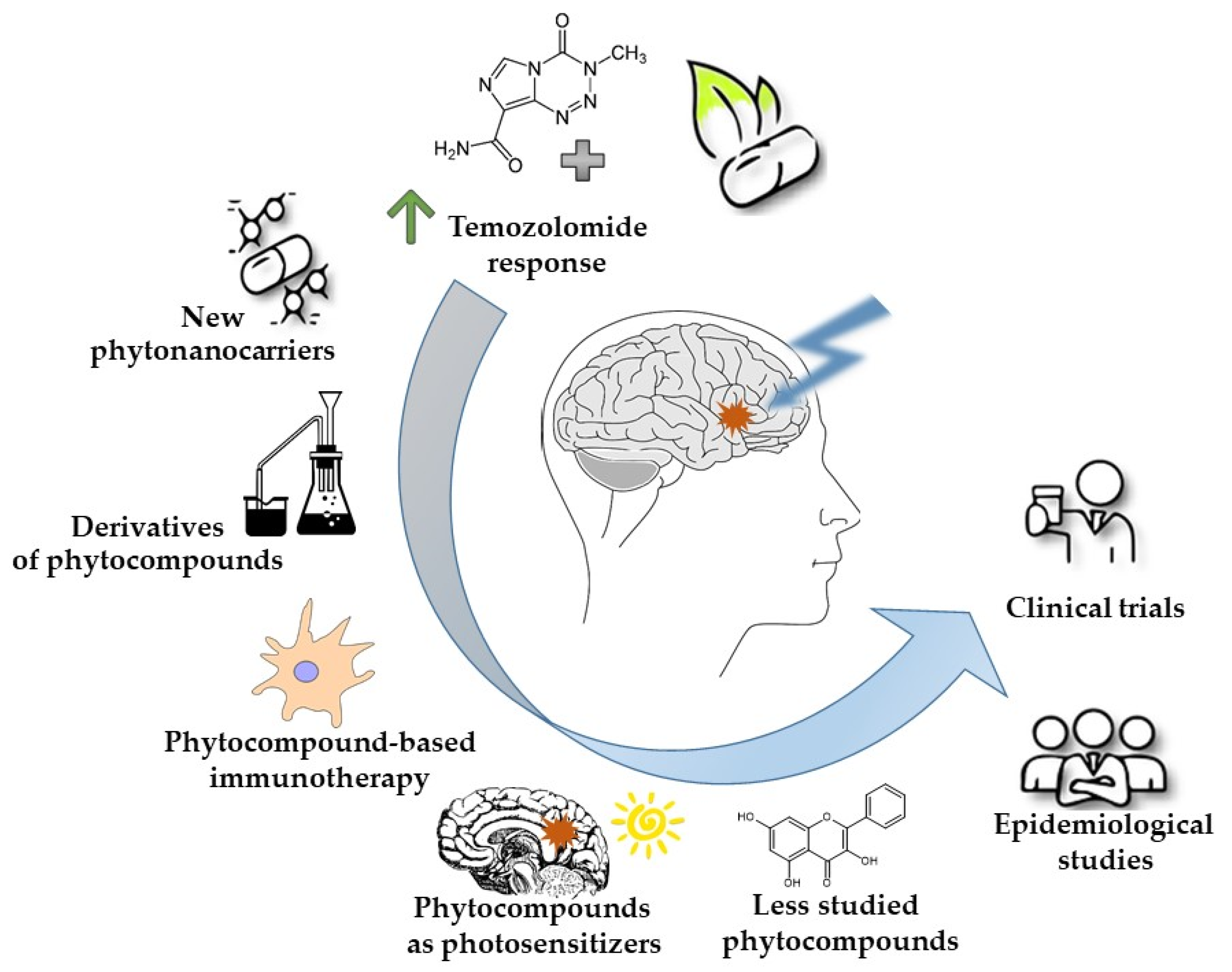 Molecules 29 01682 g001