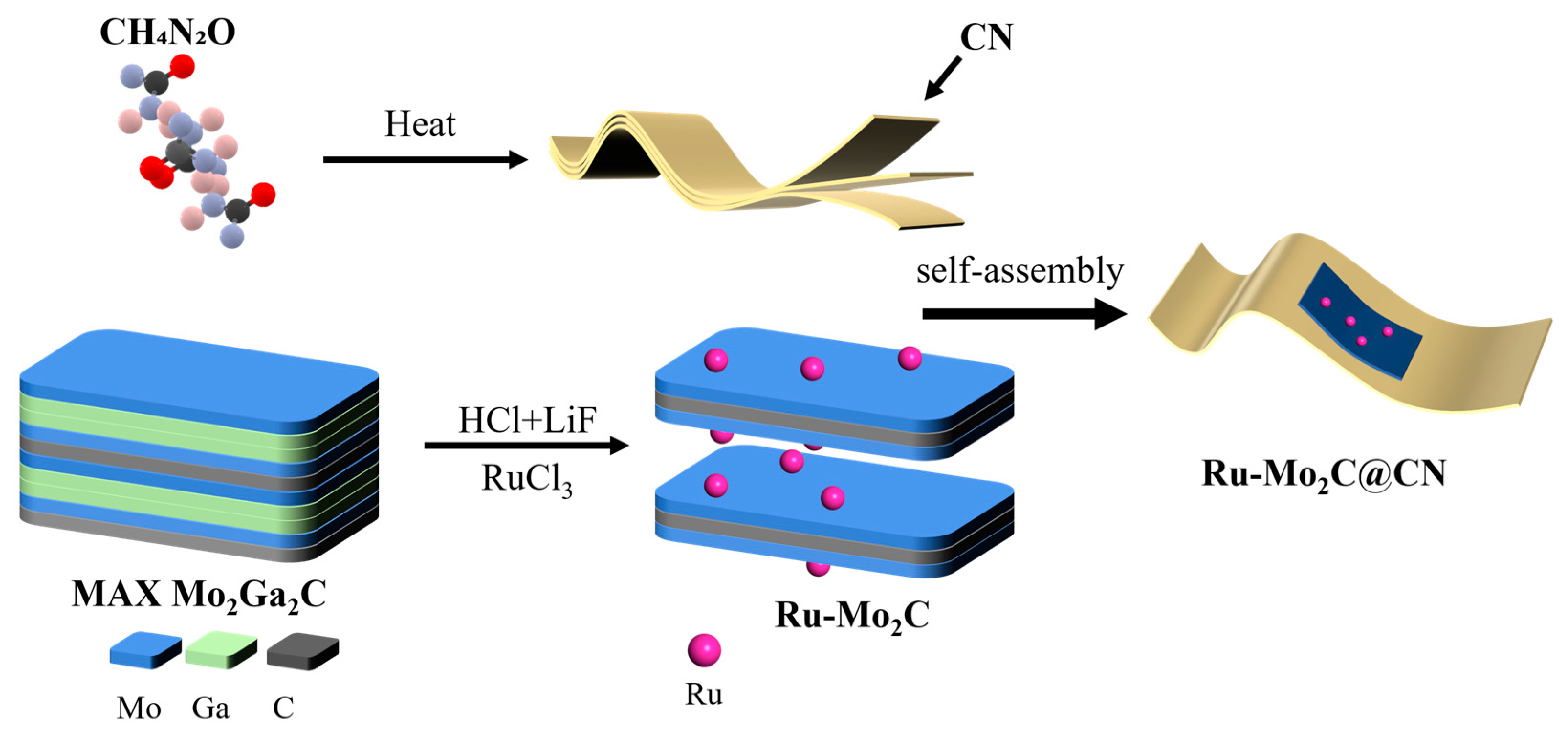 Molecules 29 01684 g001