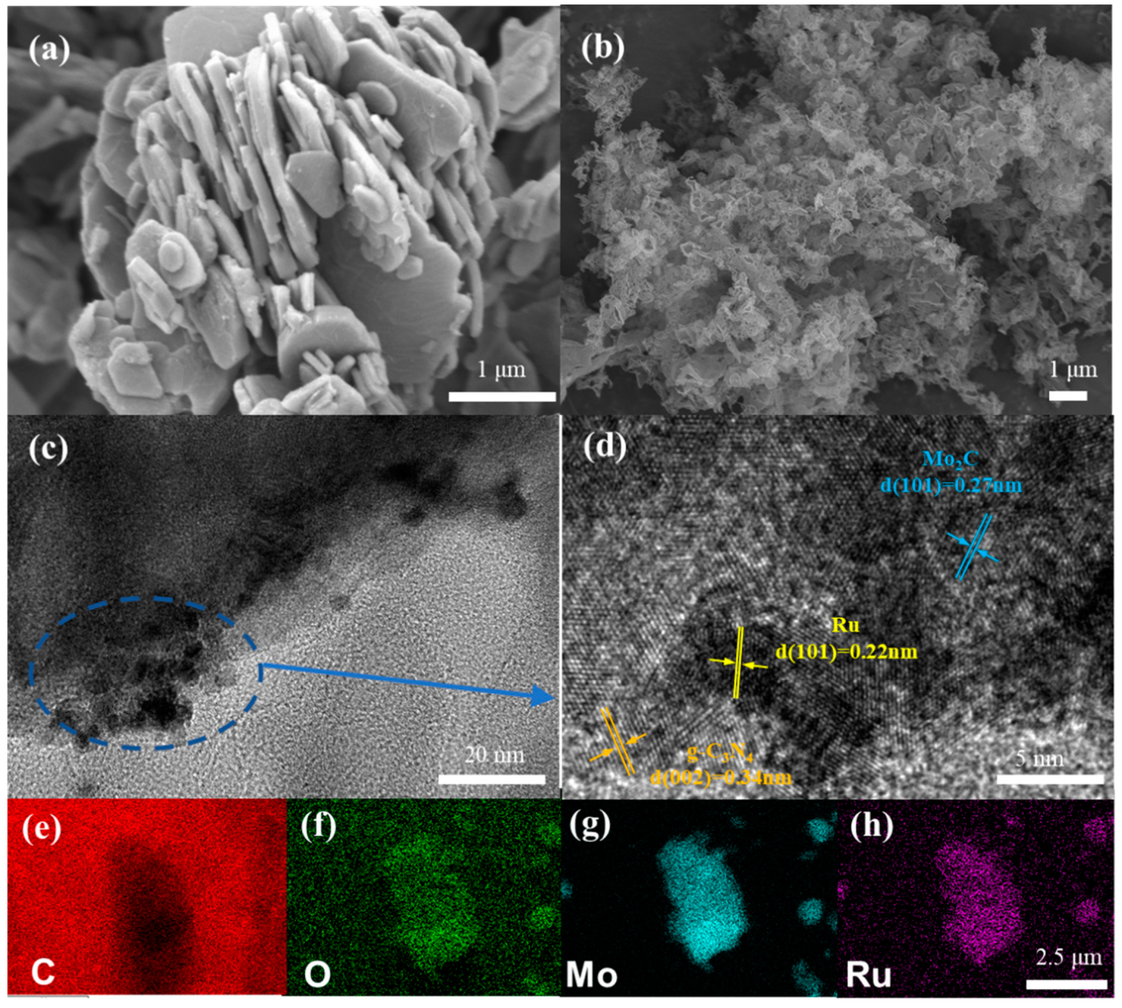 Molecules 29 01684 g002