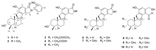 Phenylspirodrimane with Moderate Reversal Effect of