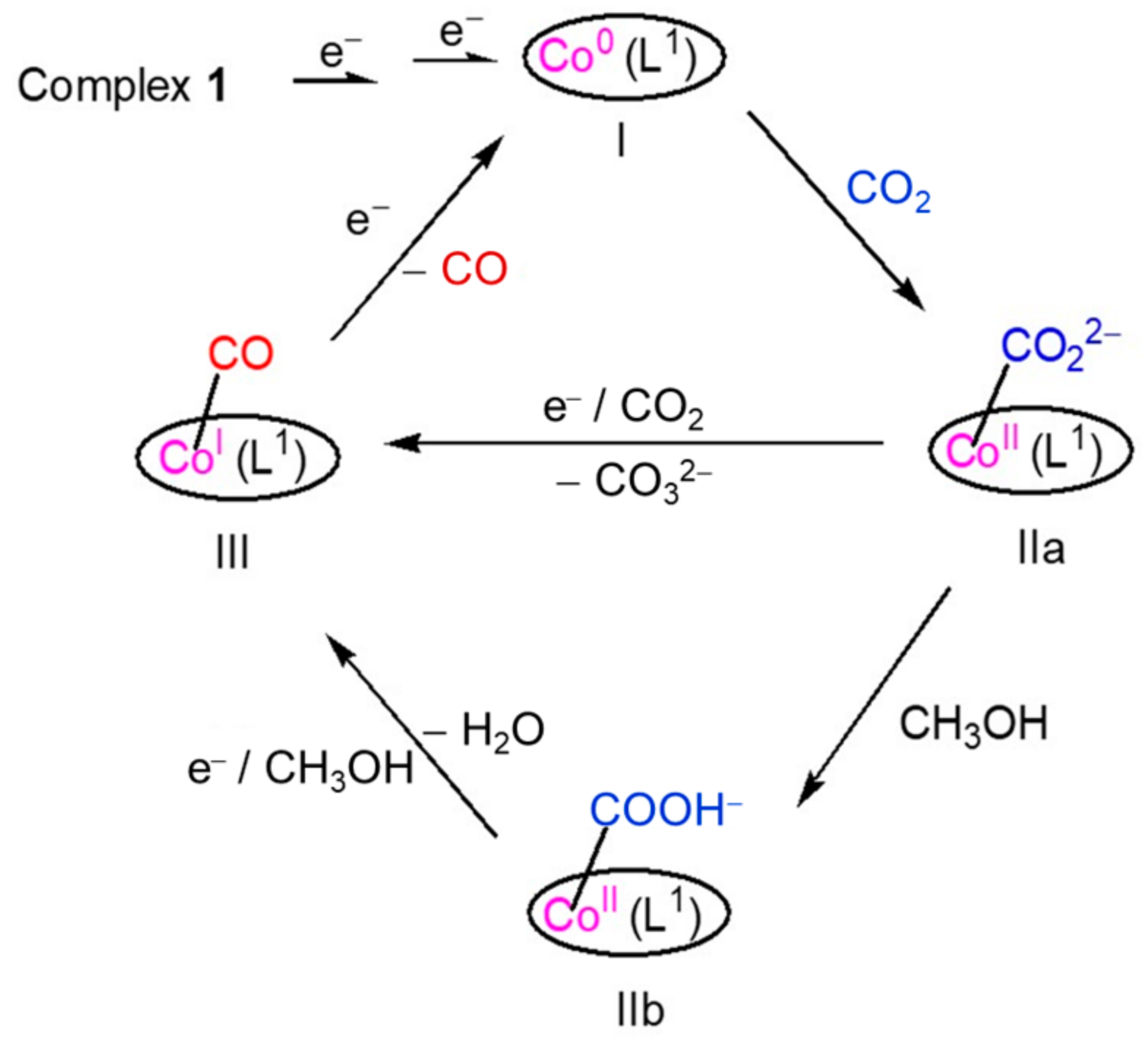 Molecules 29 01694 sch002