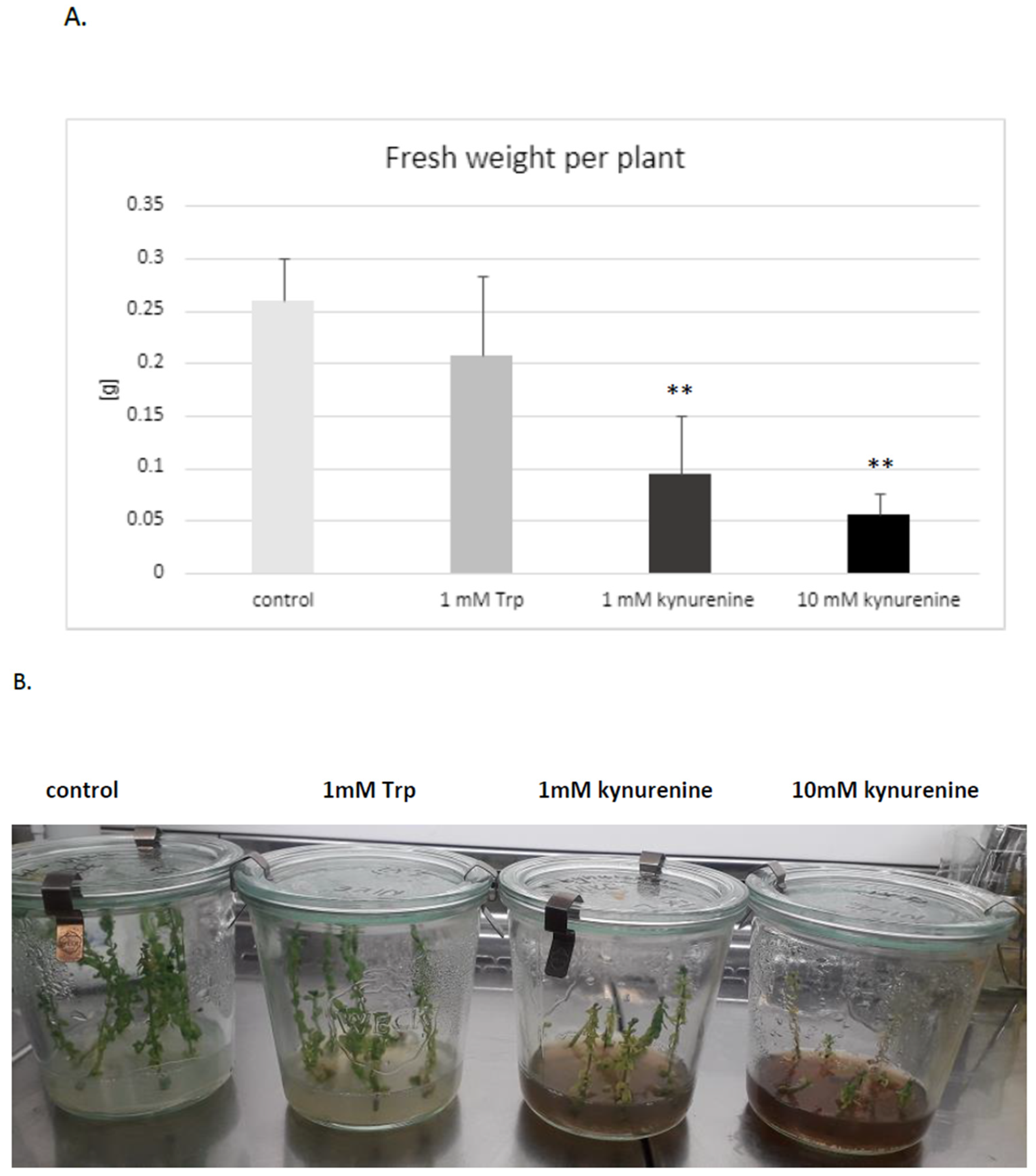 Molecules 29 01702 g003