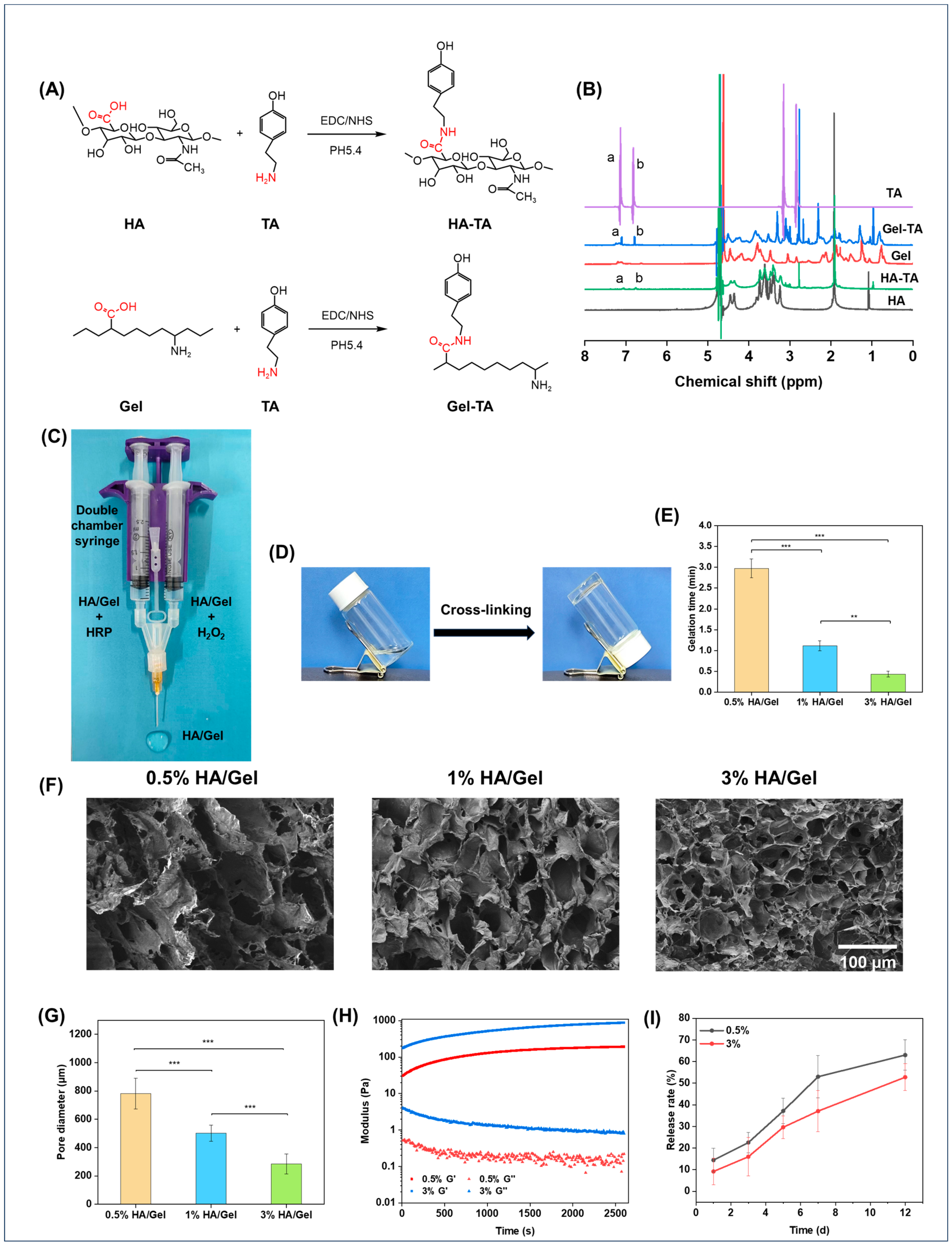 Molecules 29 01705 g001