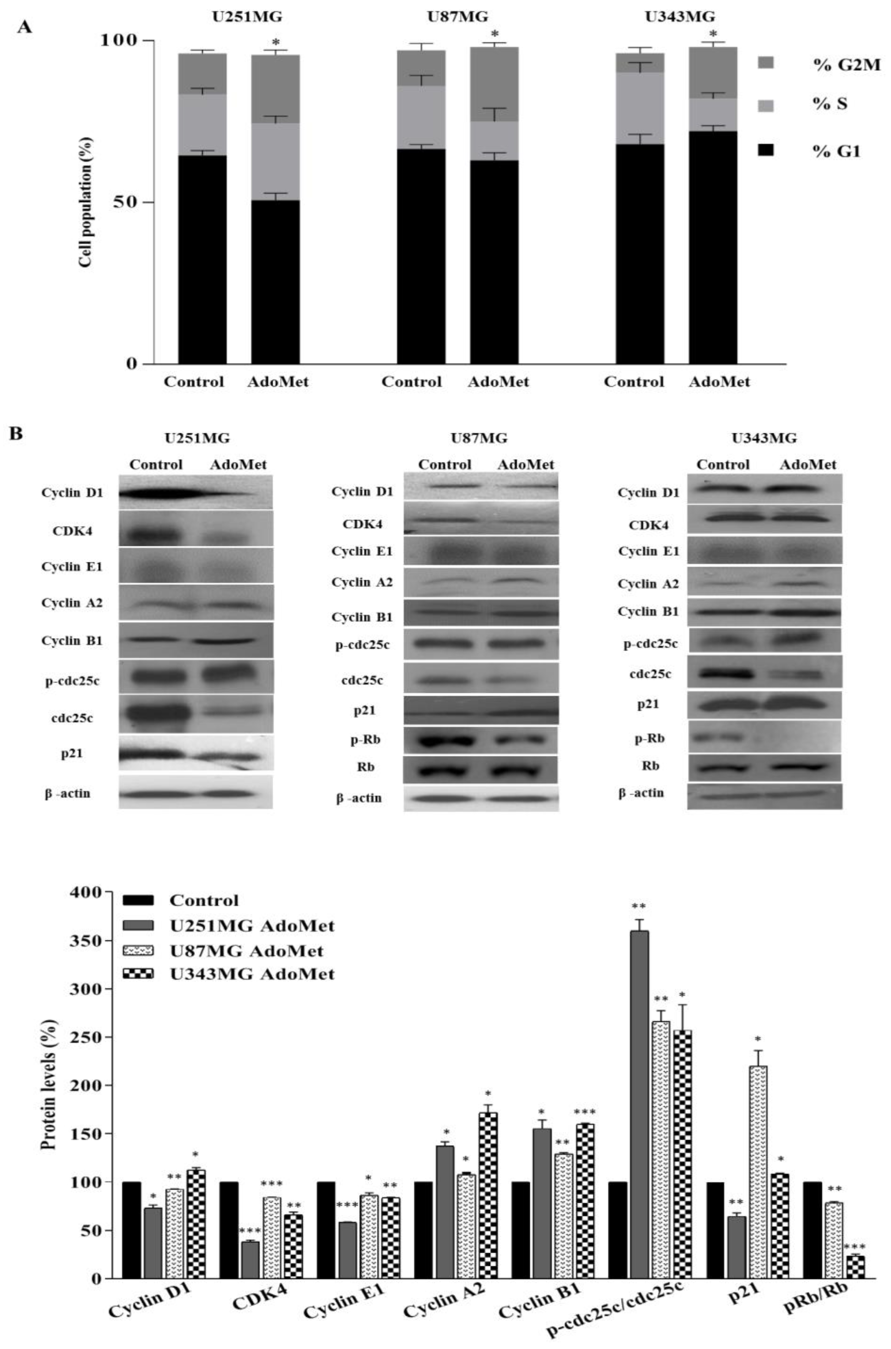 Molecules 29 01708 g003 Molecules 29 01708 g003