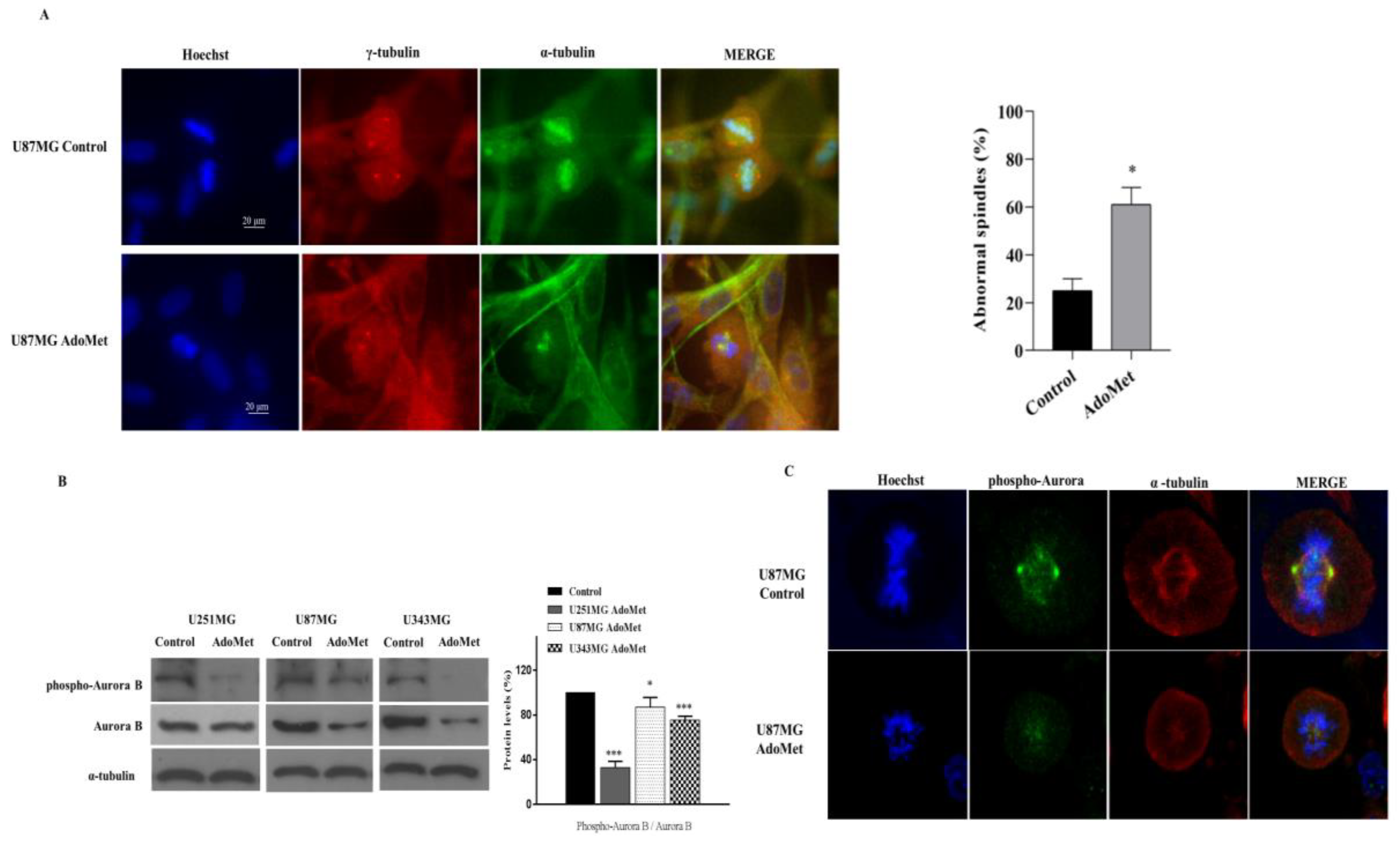 Molecules 29 01708 g006 Molecules 29 01708 g006