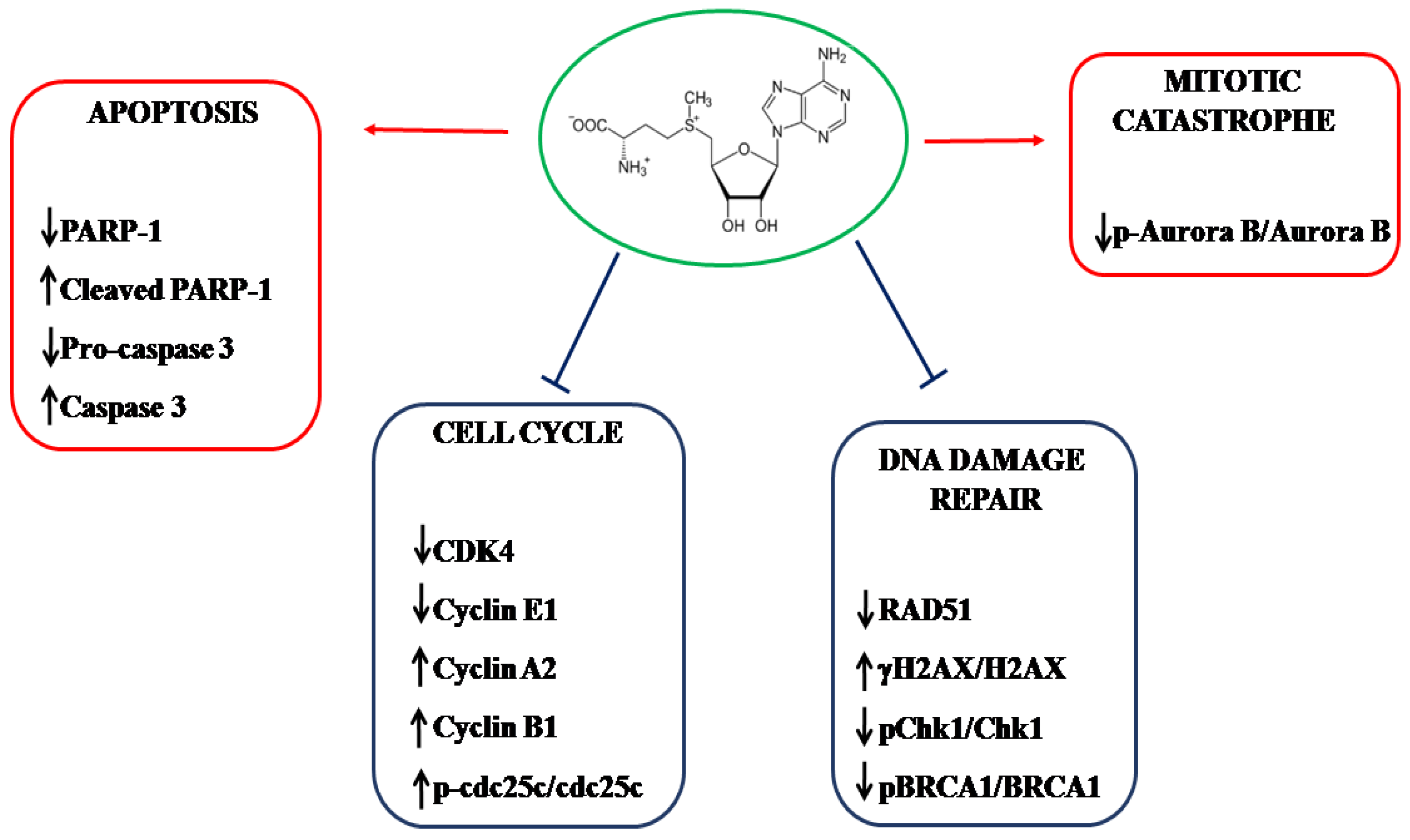 Molecules 29 01708 g009 Molecules 29 01708 g009