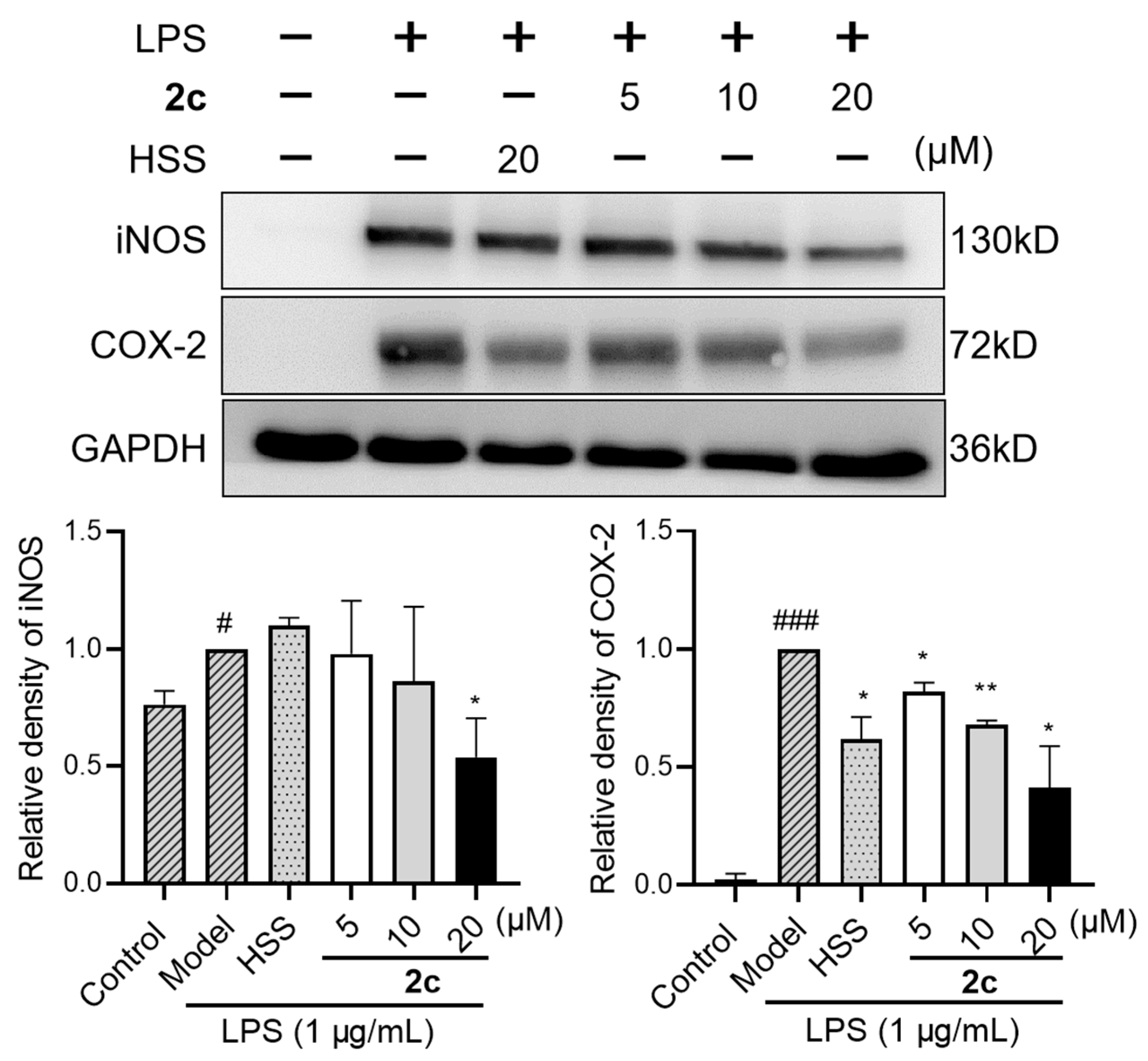 Molecules 29 01711 g006