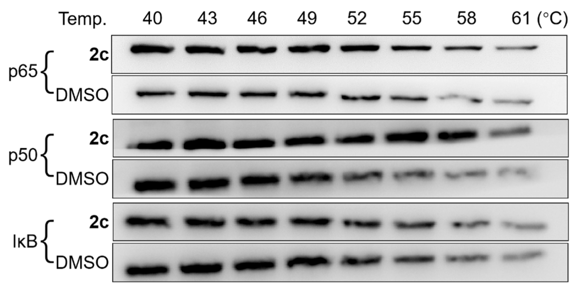 Molecules 29 01711 g008