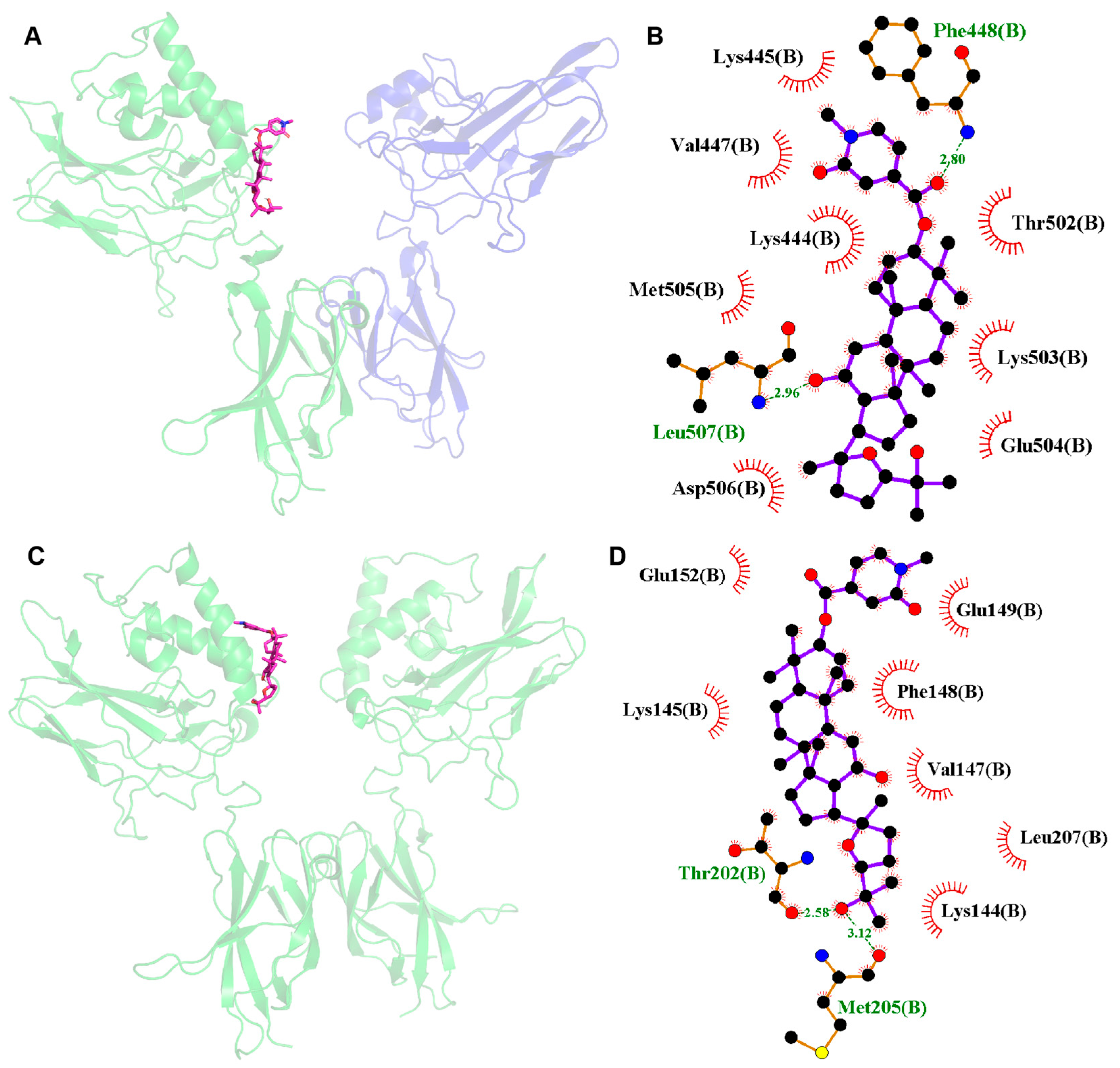 Molecules 29 01711 g009