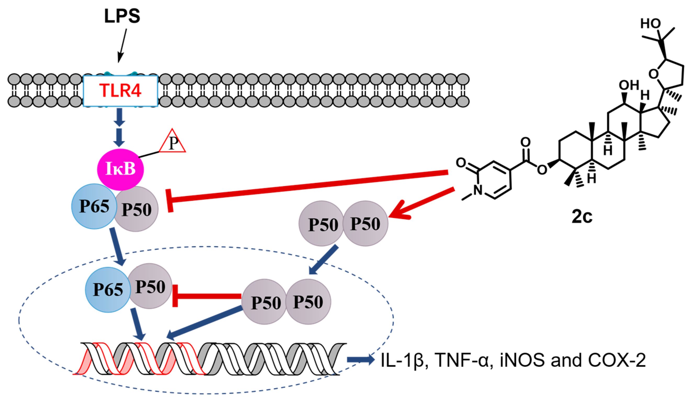 Molecules 29 01711 g010