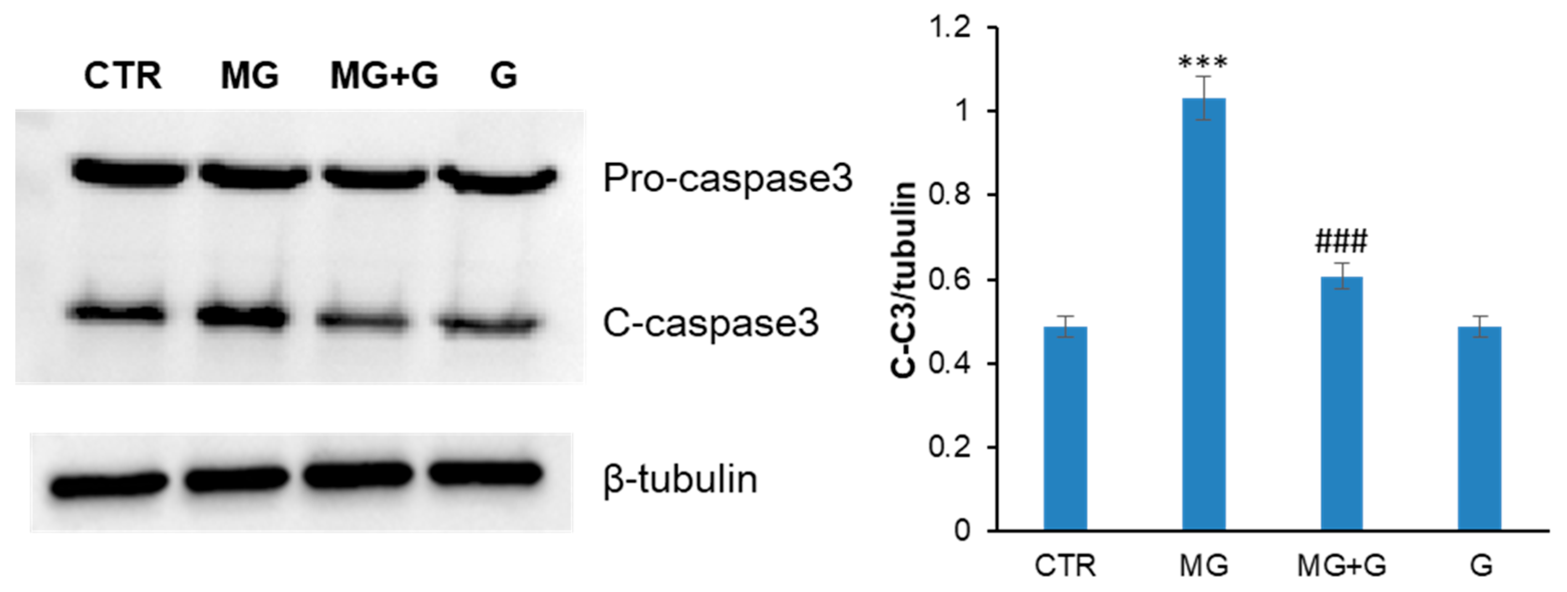 Molecules 29 01712 g006