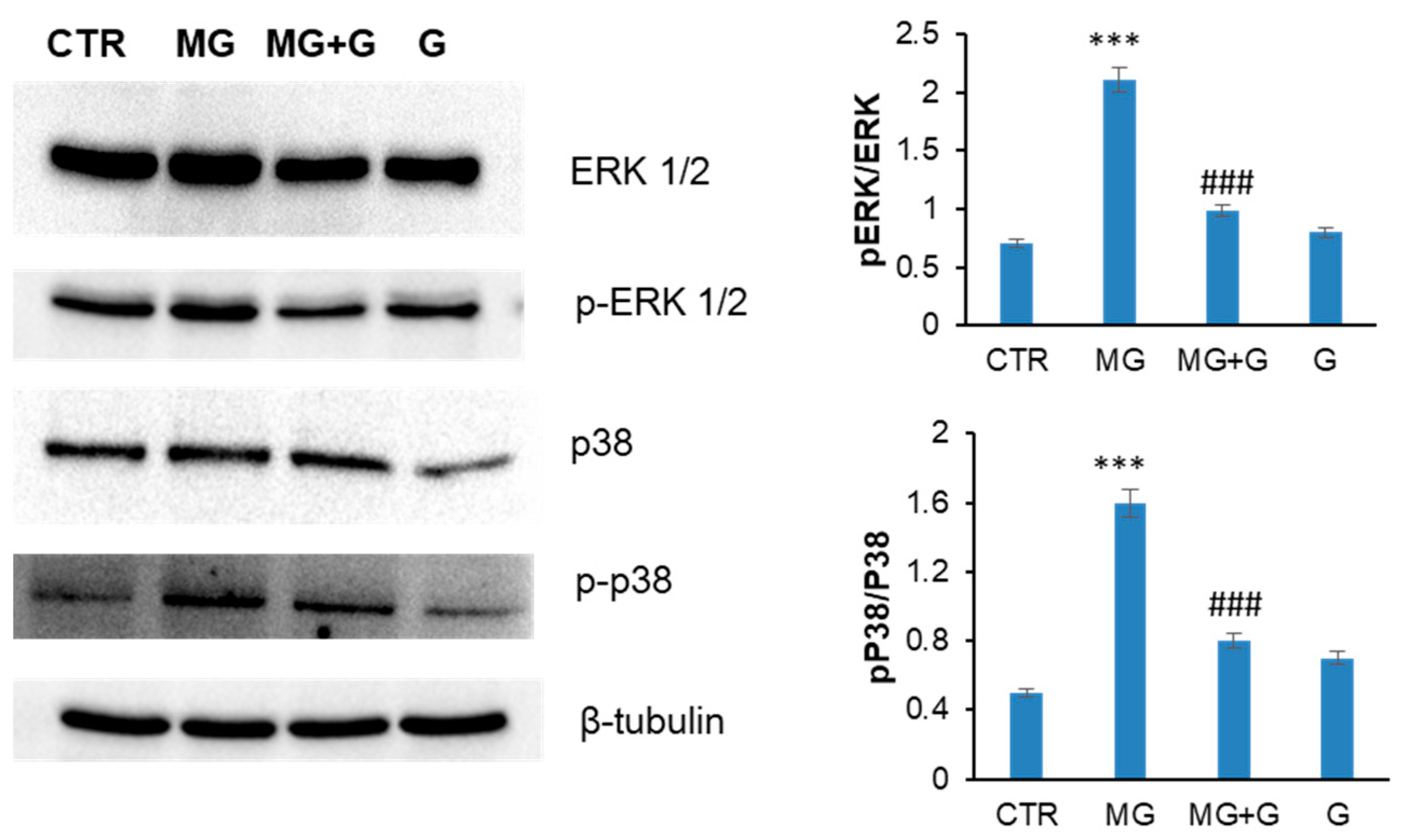 Molecules 29 01712 g007