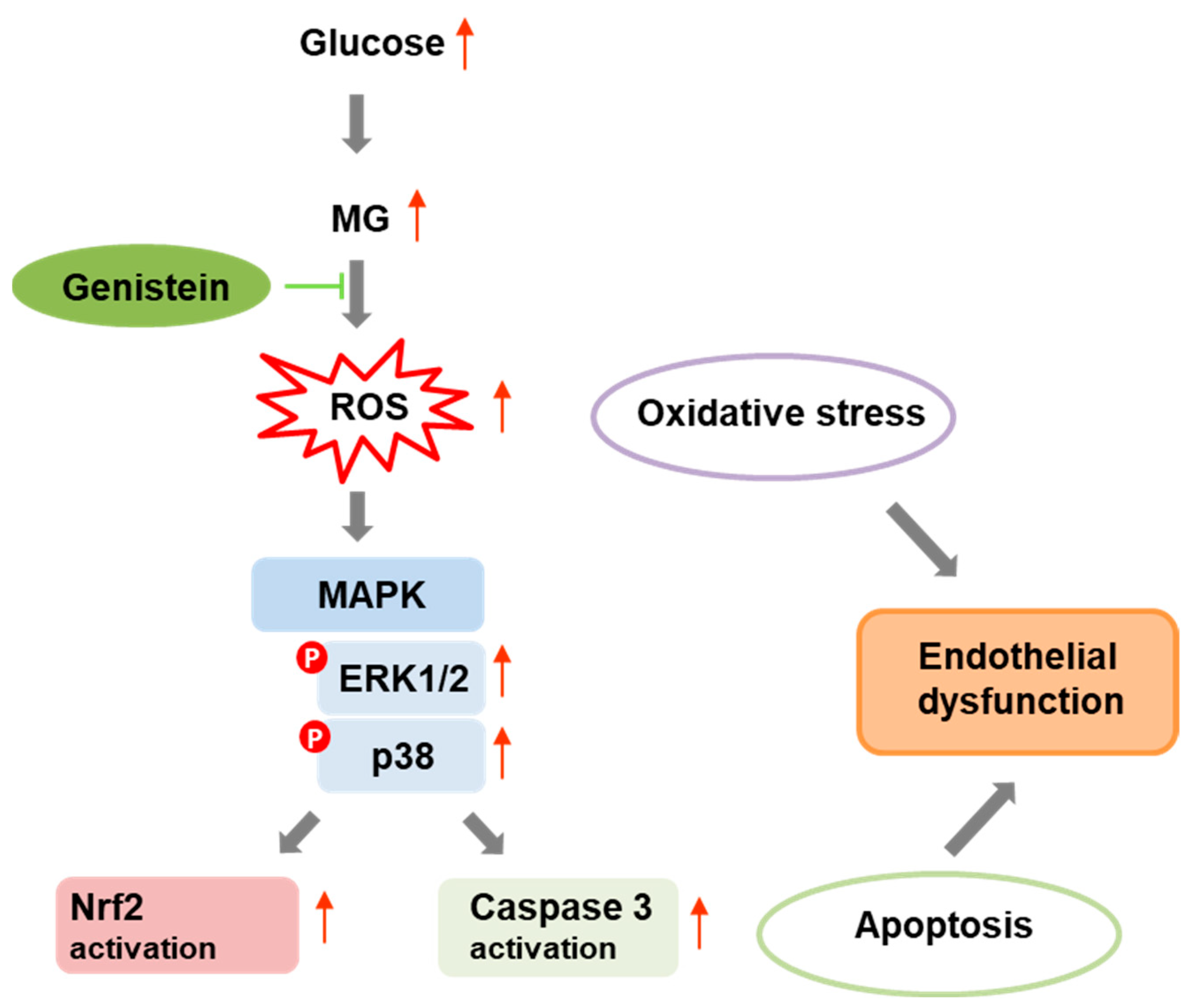 Molecules 29 01712 g008