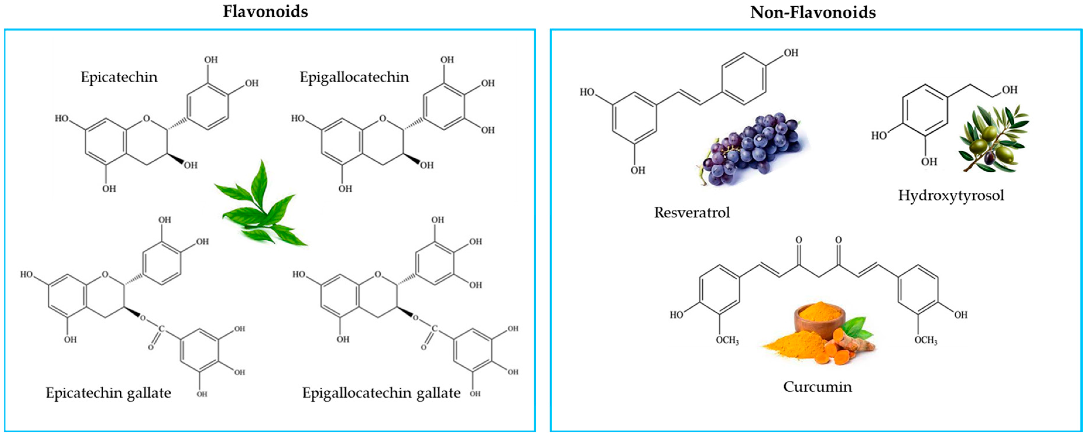 Molecules 29 01718 g001