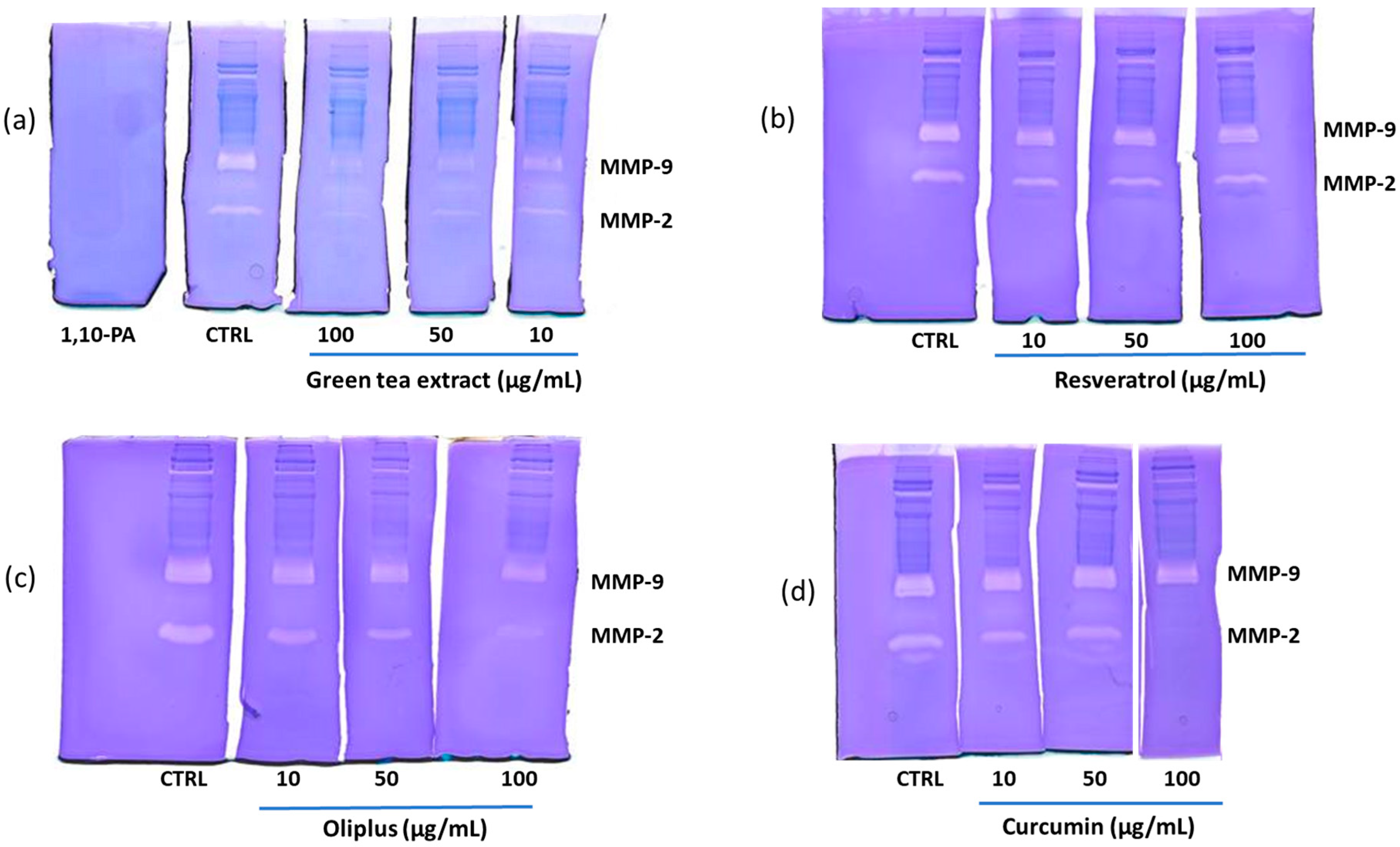 Molecules 29 01718 g006