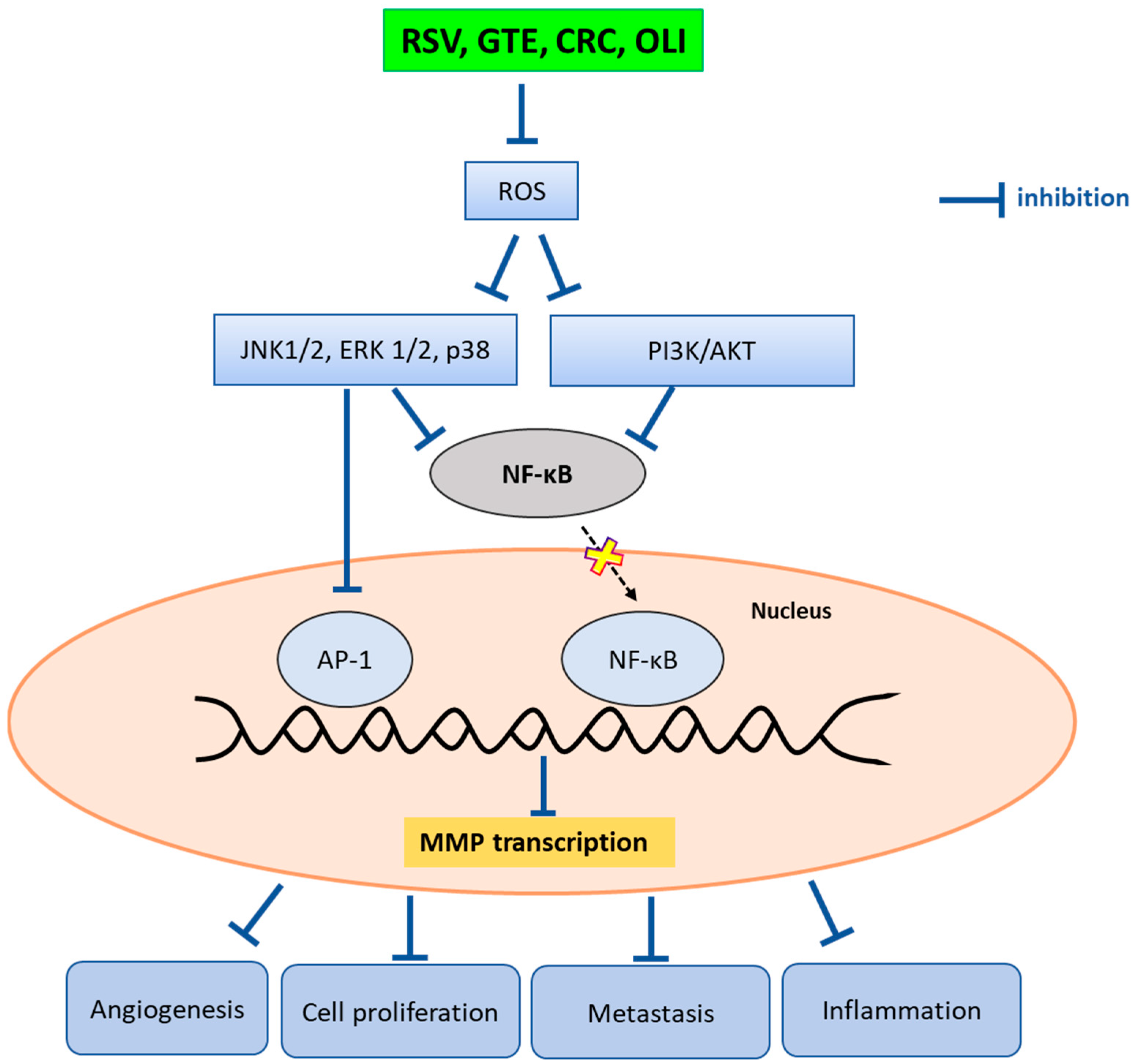 Molecules 29 01718 g007