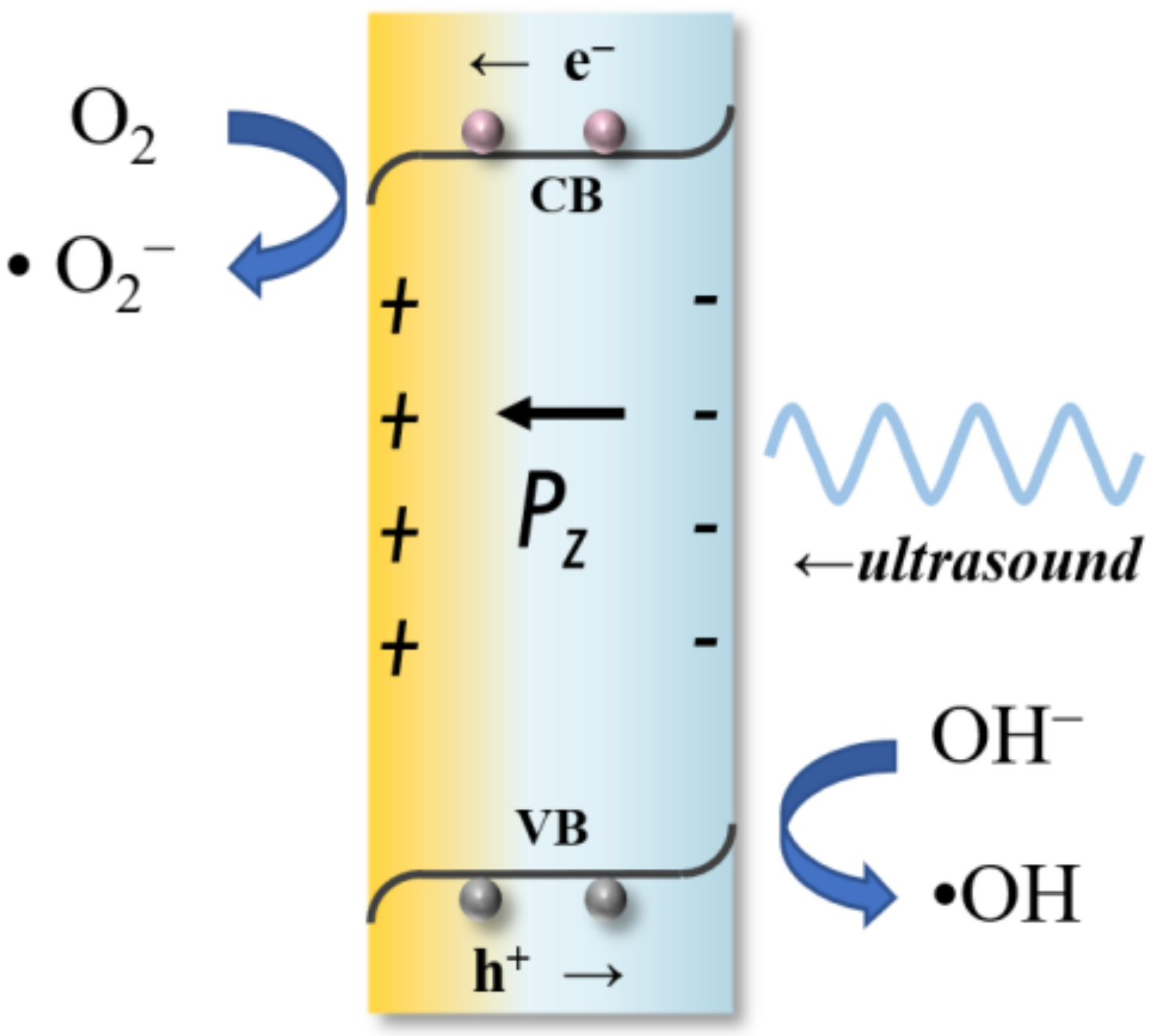Molecules 29 01719 g009