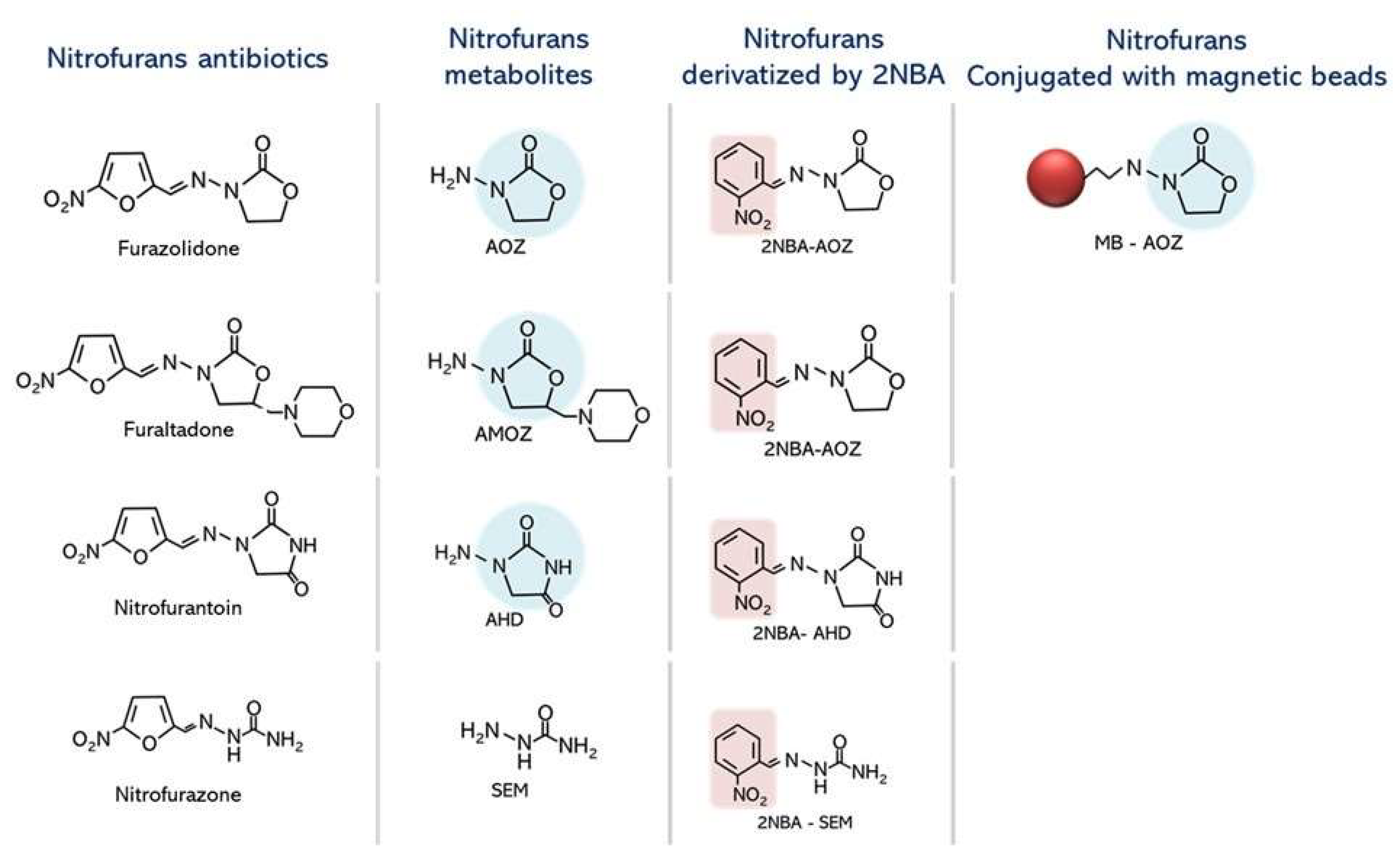 Molecules 29 01720 g001
