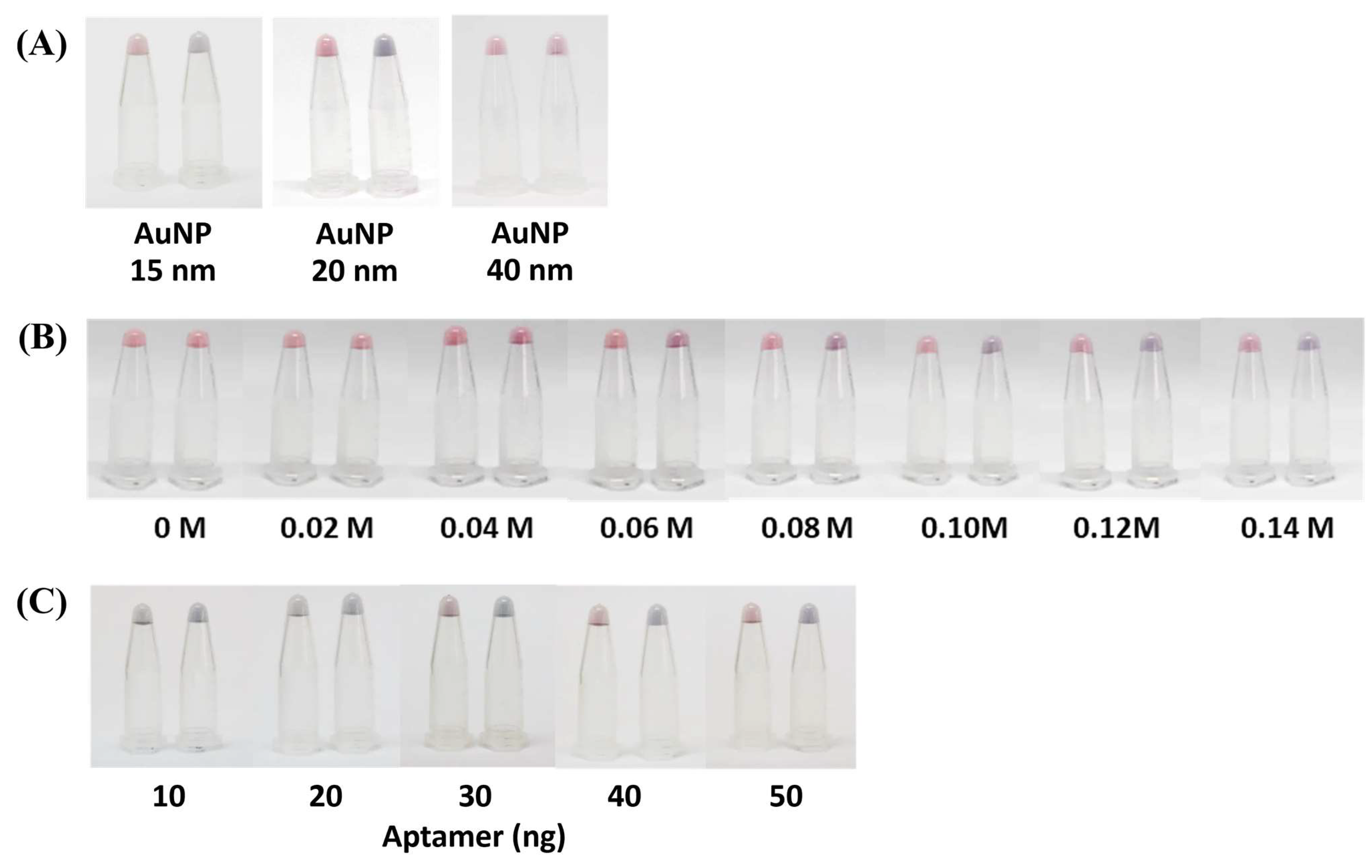 Molecules 29 01720 g002