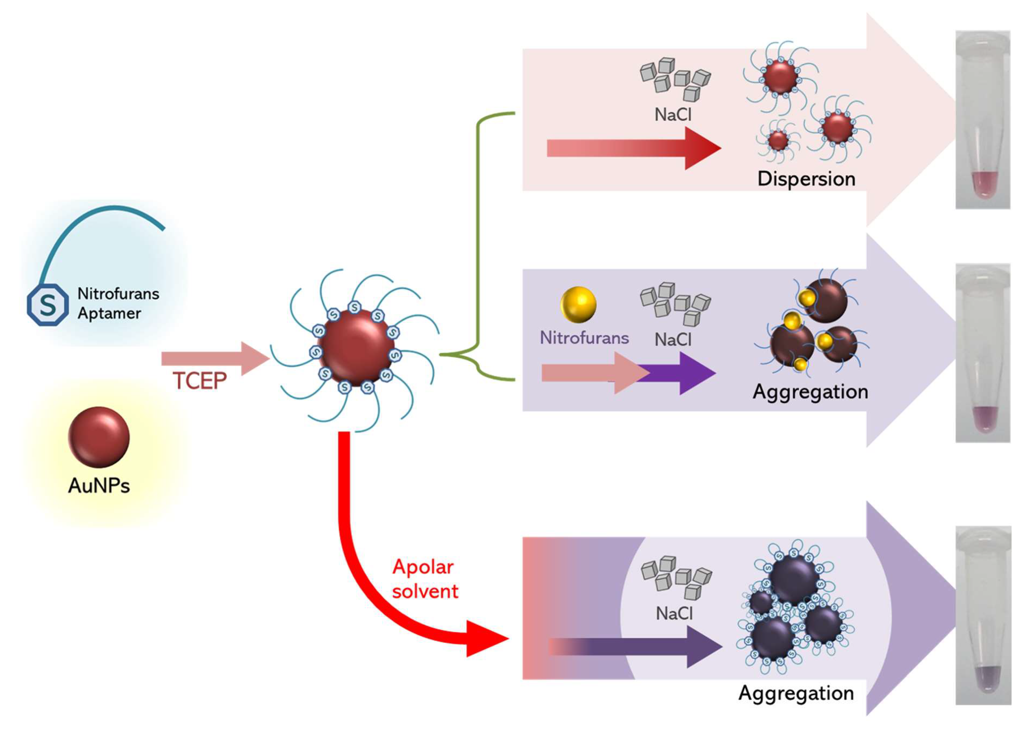 Molecules 29 01720 g003