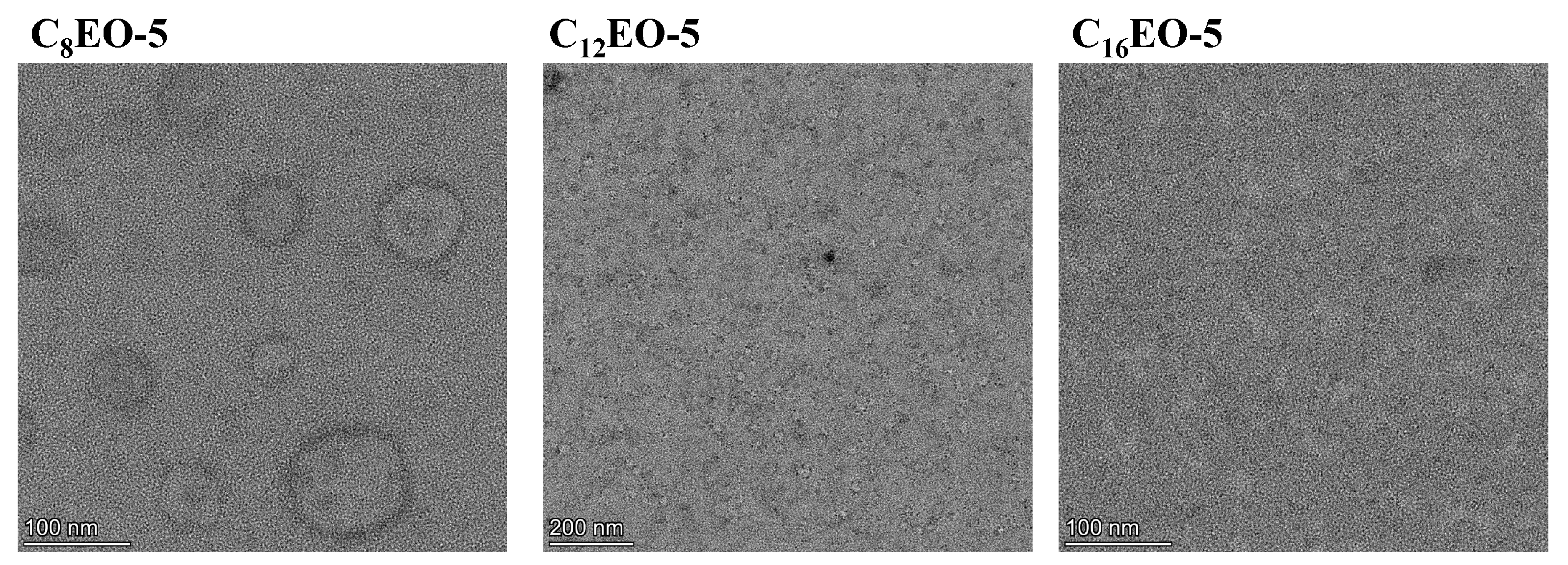 Molecules 29 01725 g007