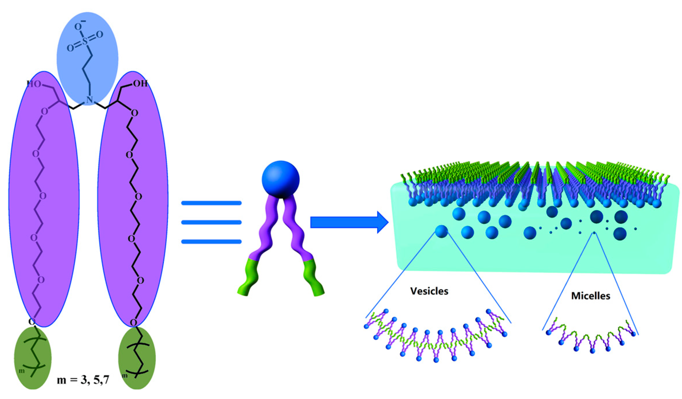 Molecules 29 01725 g008