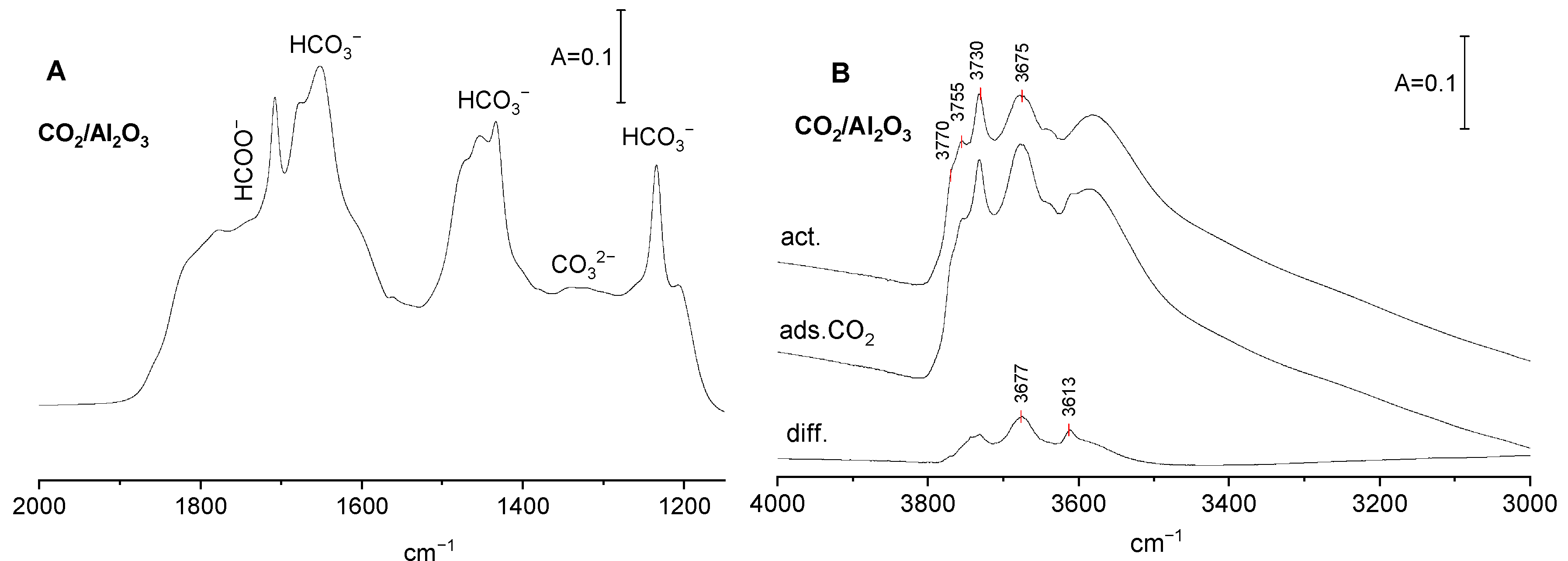 Molecules 29 01726 g001