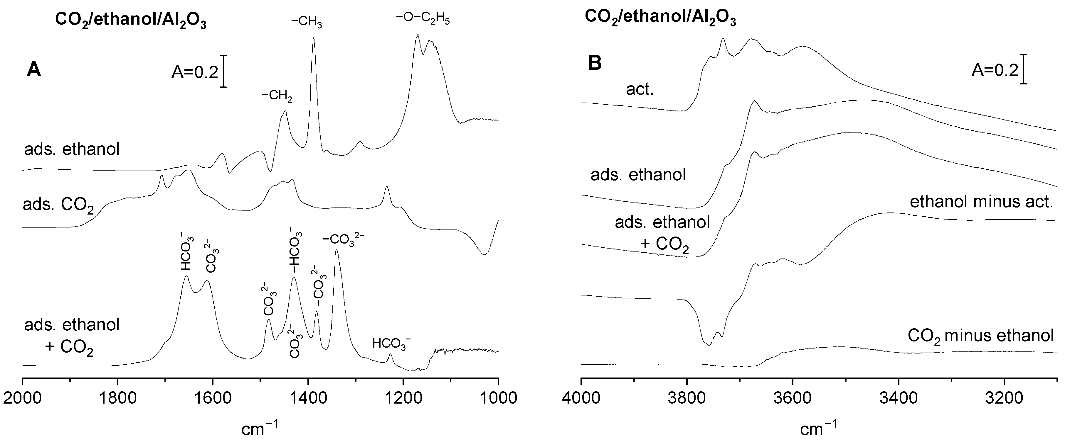 Molecules 29 01726 g002