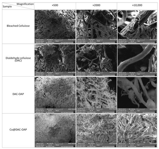 Schiff Base Functionalized Cellulose: Towards Strong Support
