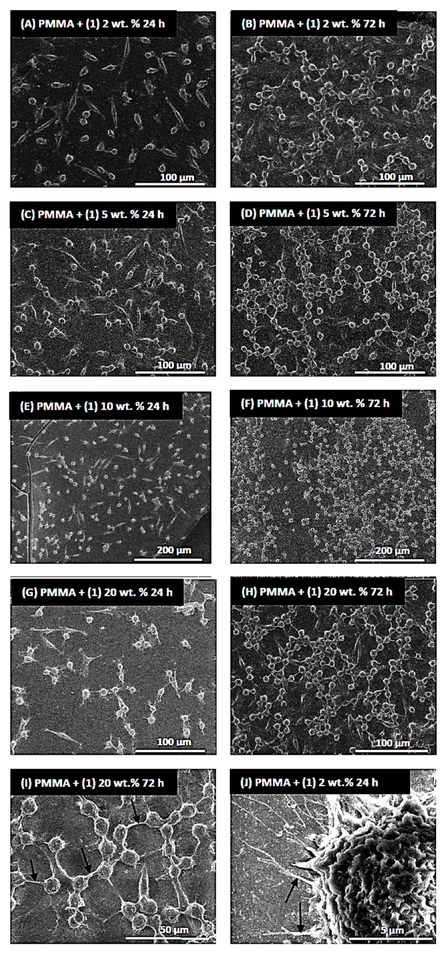 Molecules 29 01736 g008 Molecules 29 01736 g008