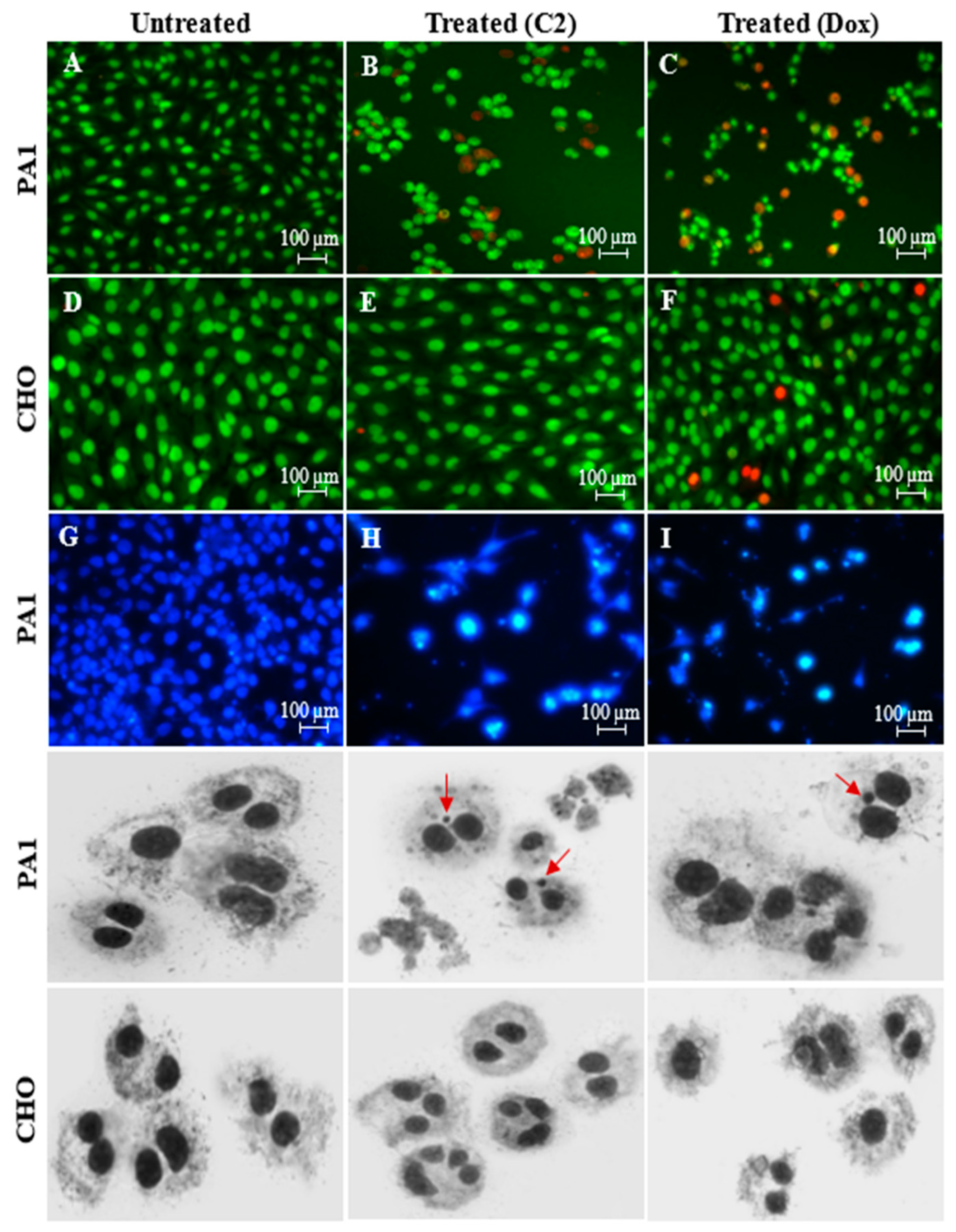 Molecules 29 01737 g001