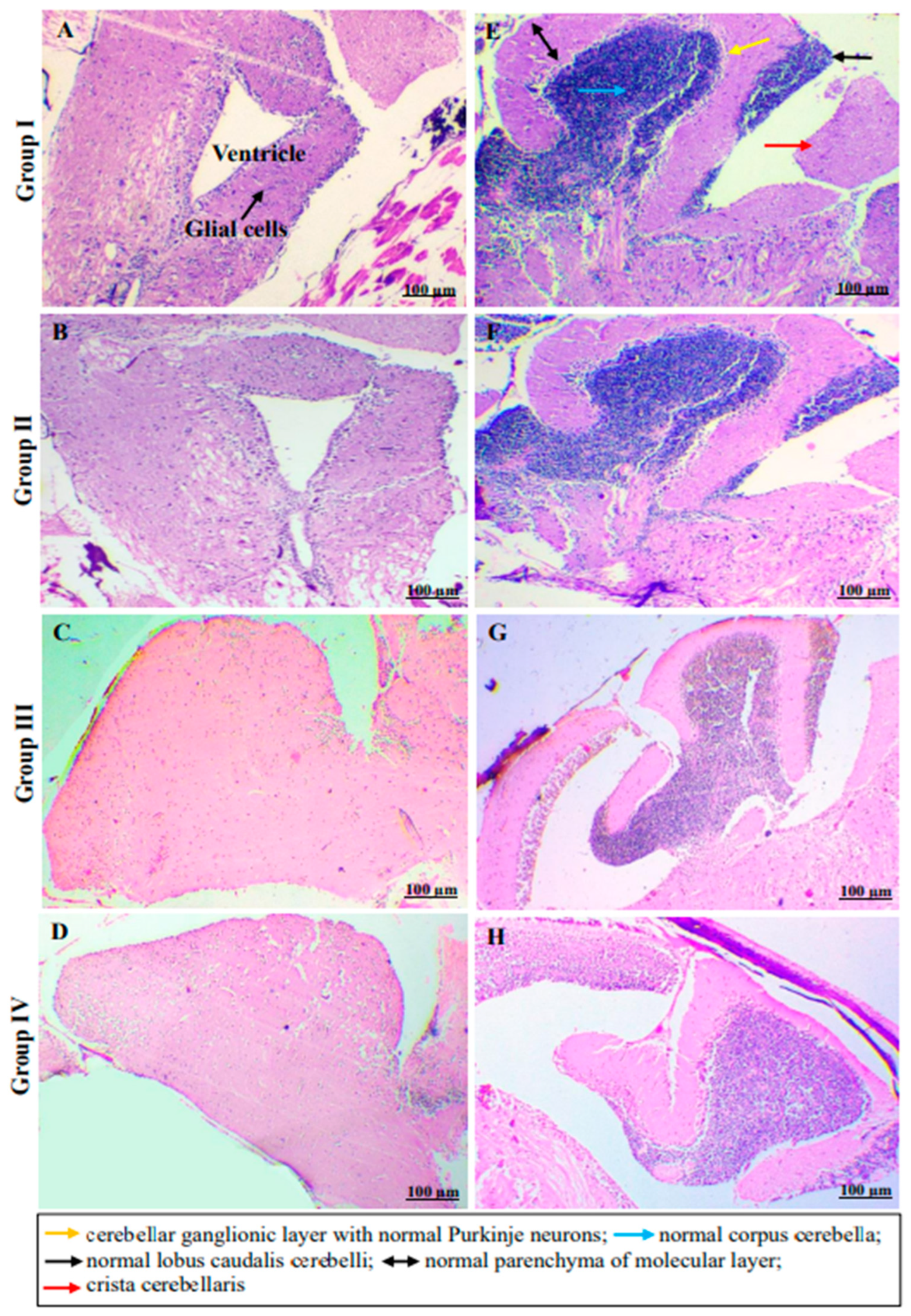 Molecules 29 01737 g006