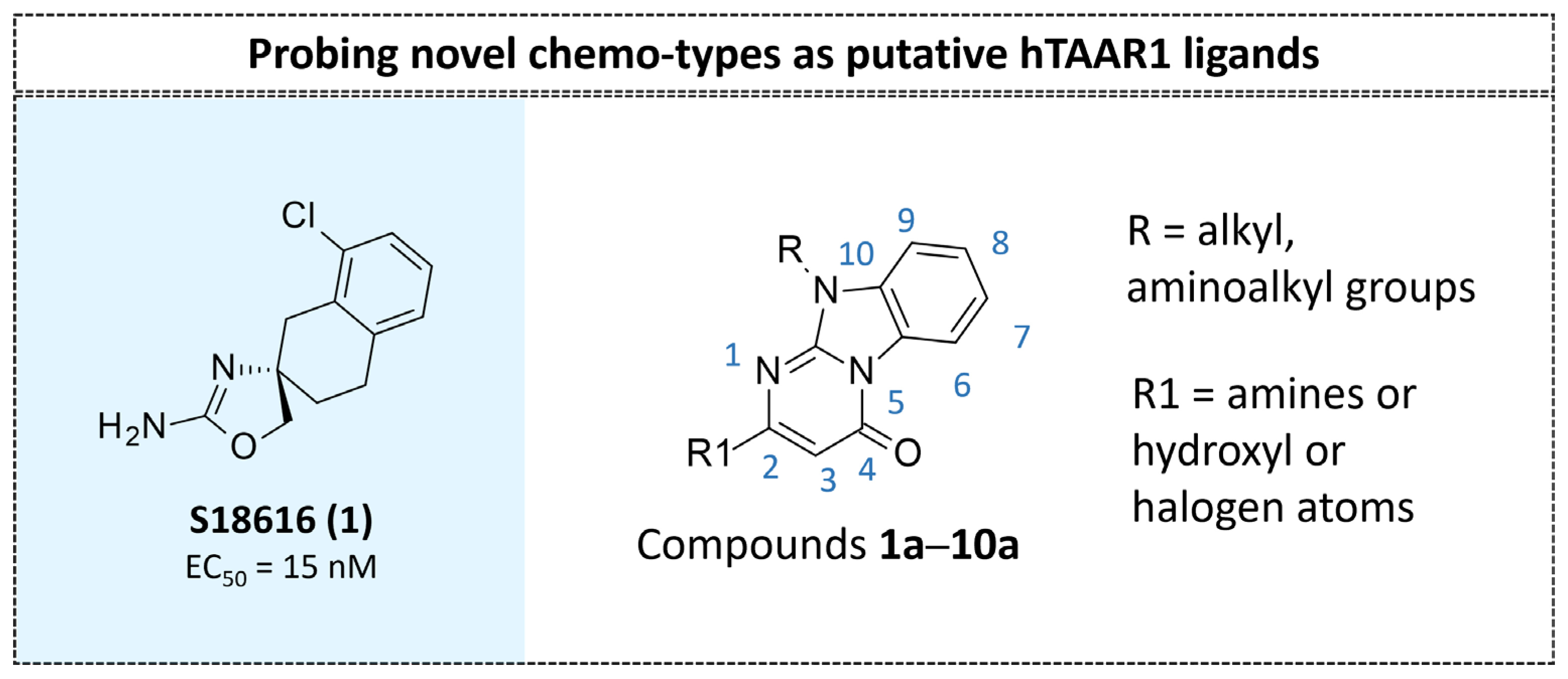 Molecules 29 01739 g005
