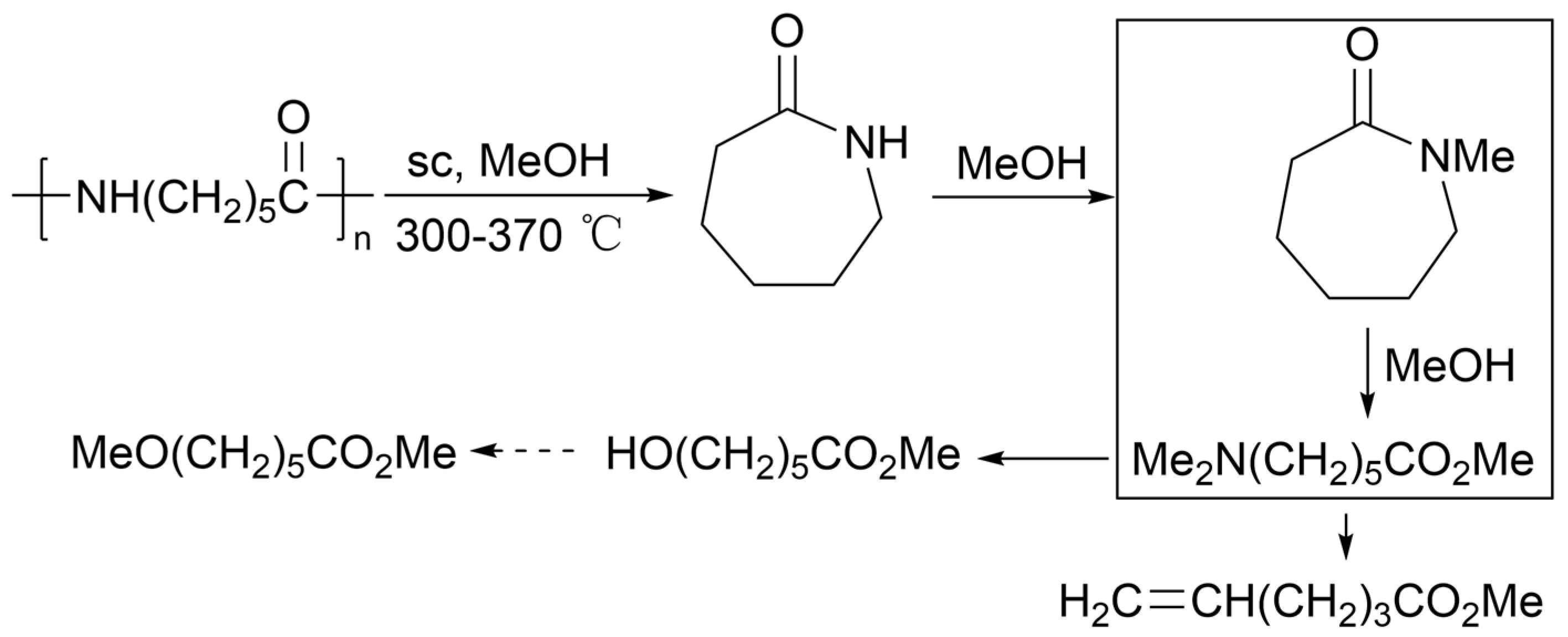 Molecules 29 01742 g020