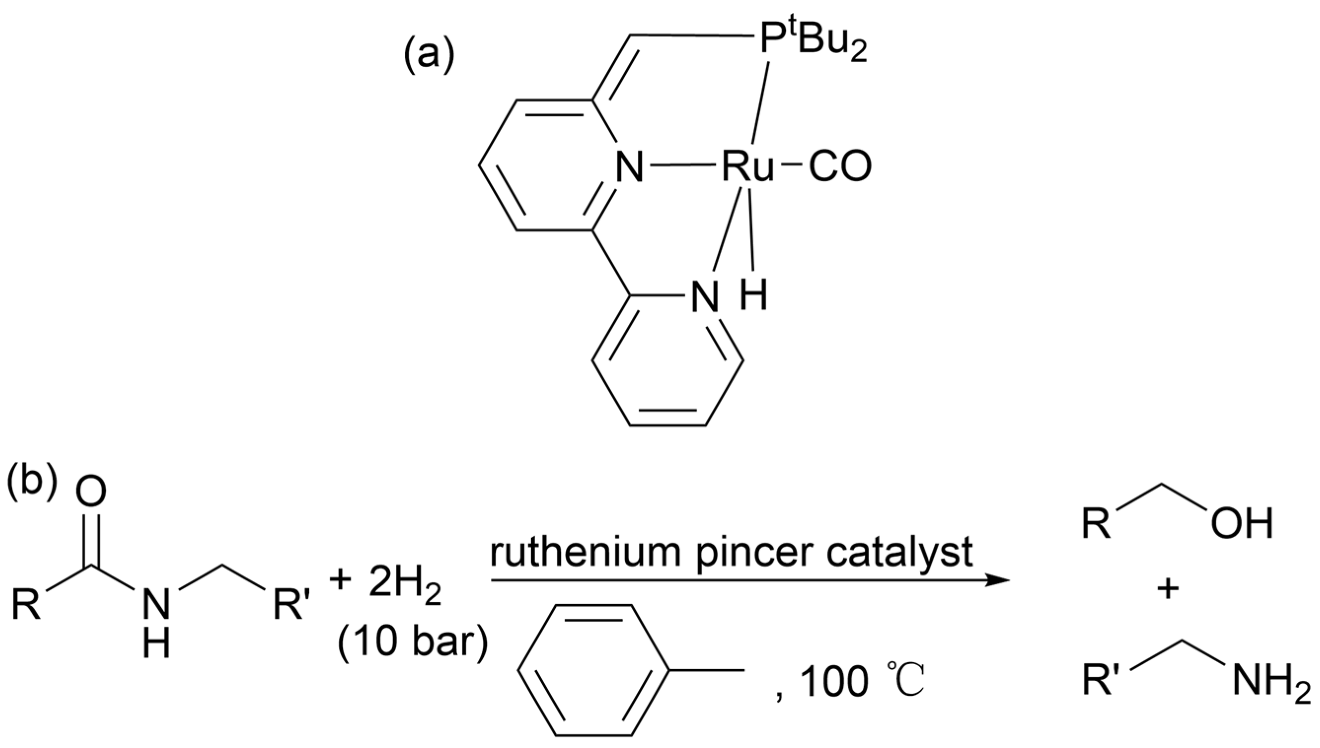 Molecules 29 01742 g022