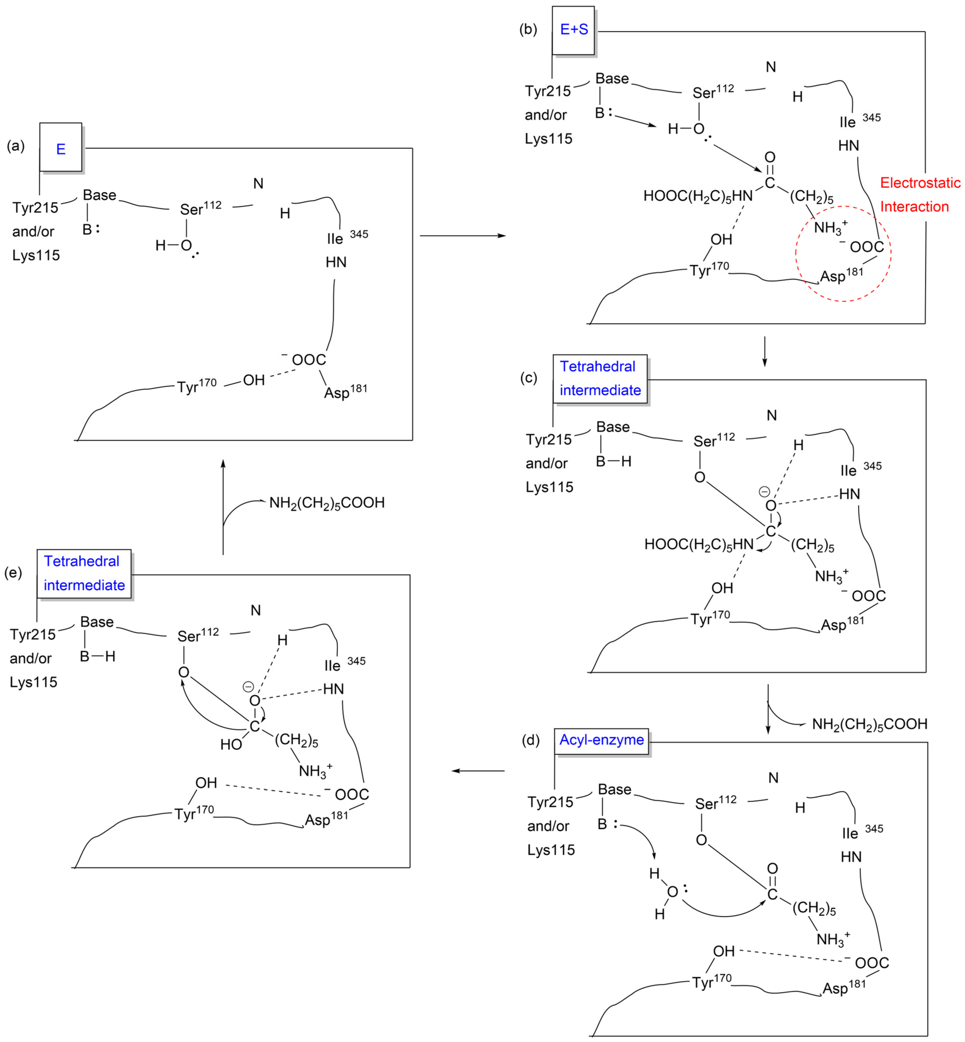 Molecules 29 01742 g024
