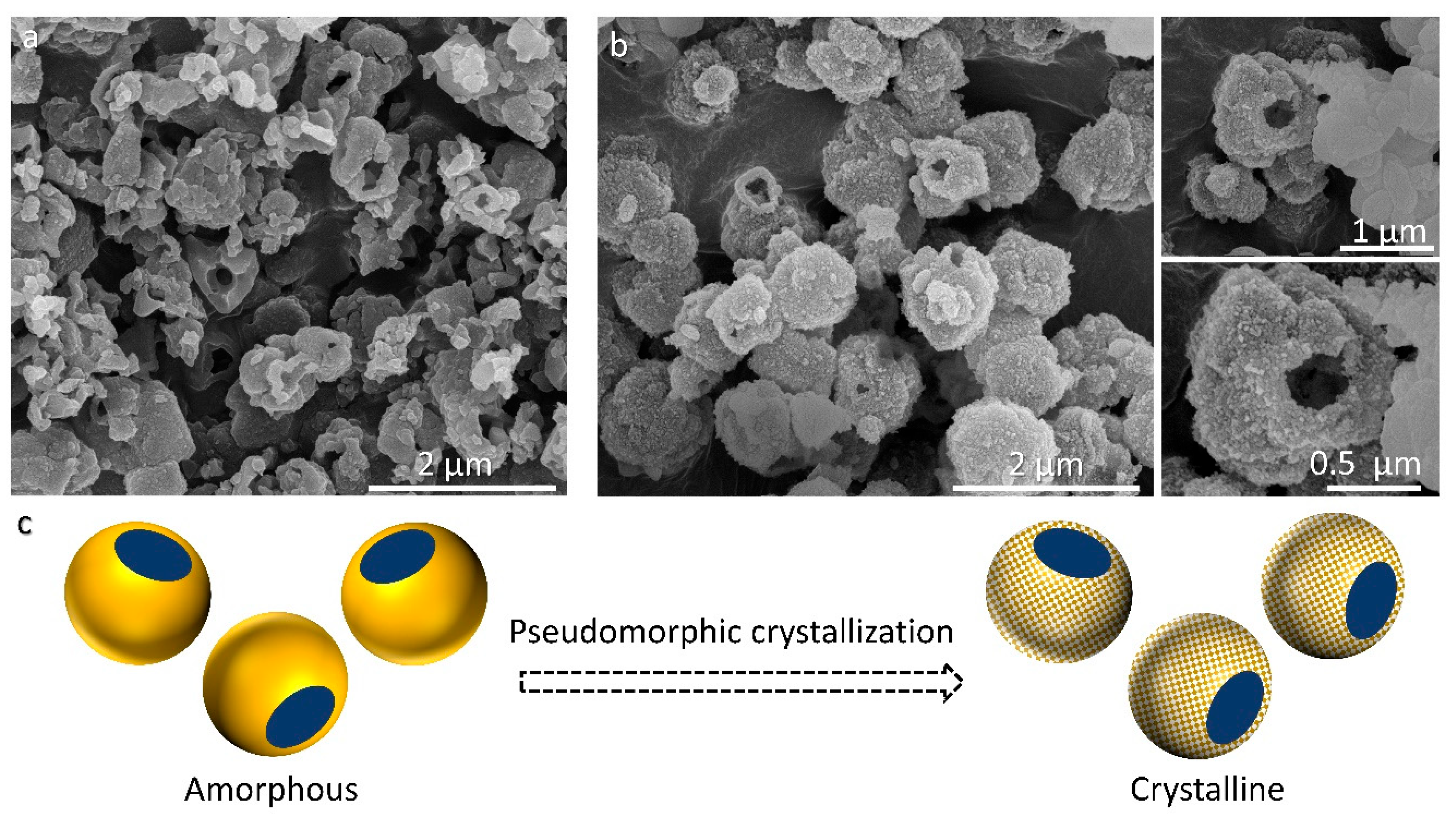 Molecules 29 01744 g006