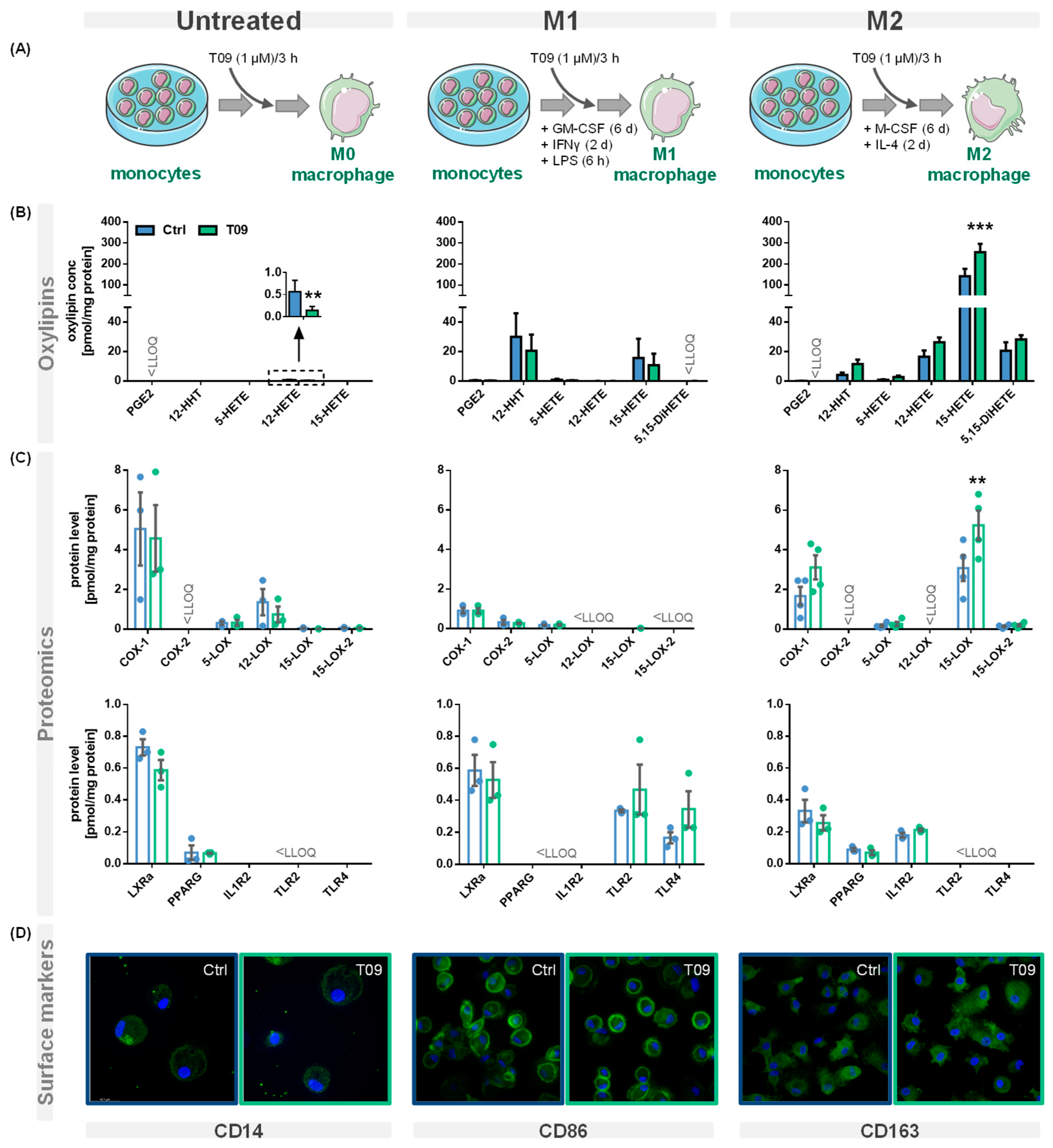 Molecules 29 01745 g002
