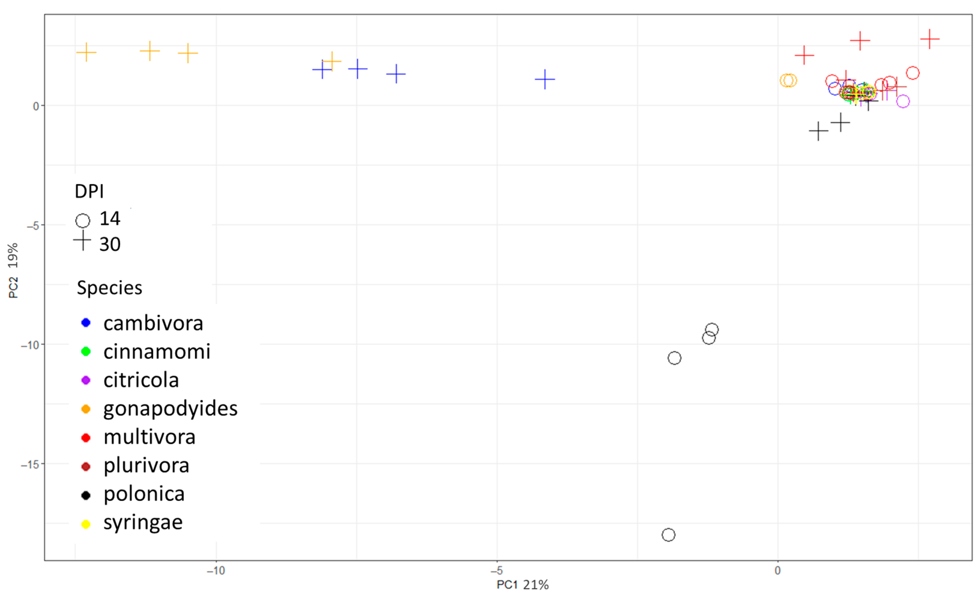 Molecules 29 01749 g001 Molecules 29 01749 g001