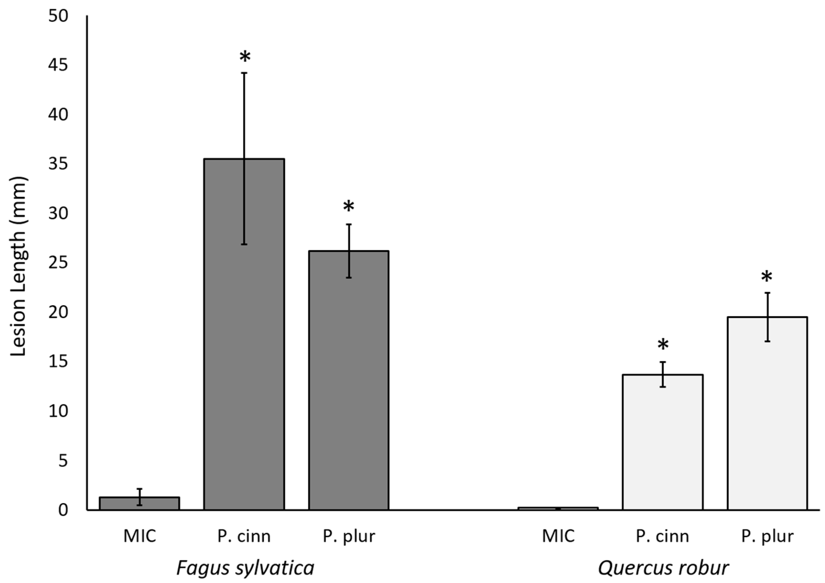 Molecules 29 01749 g003 Molecules 29 01749 g003