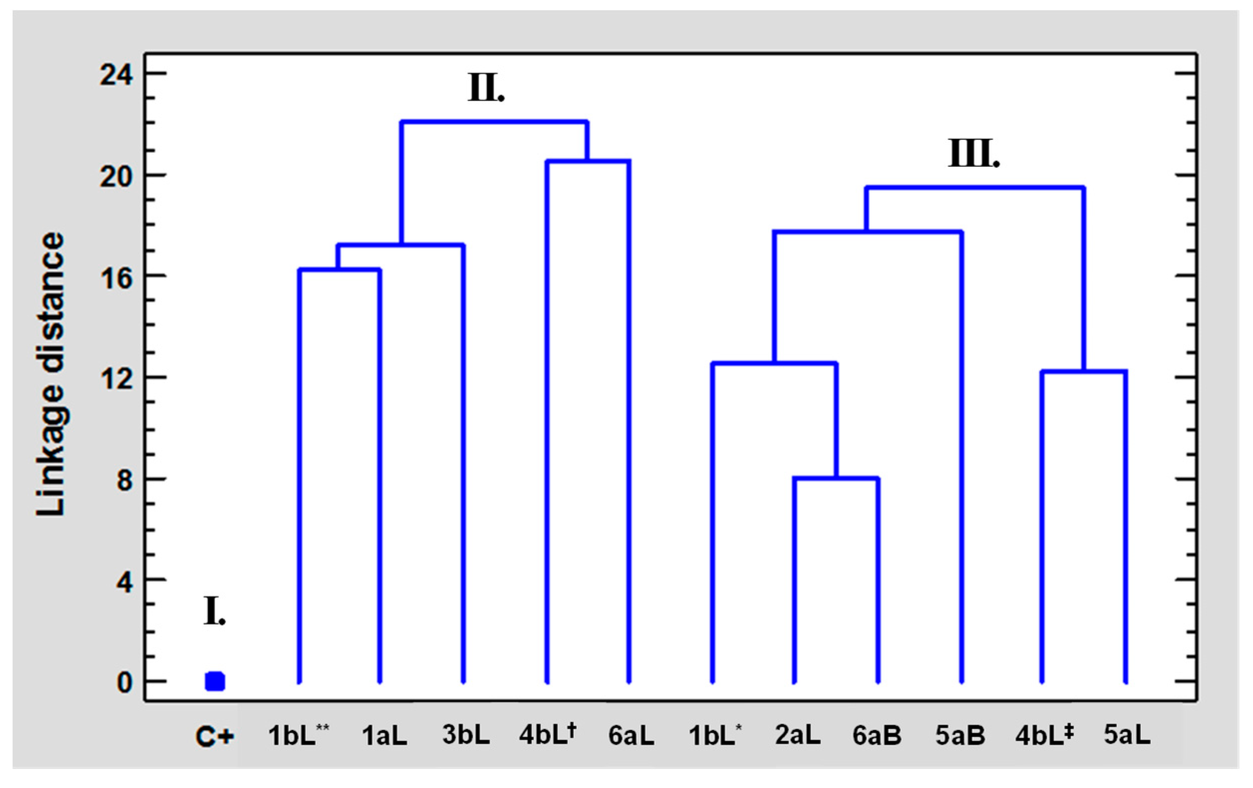 Molecules 29 01753 g004