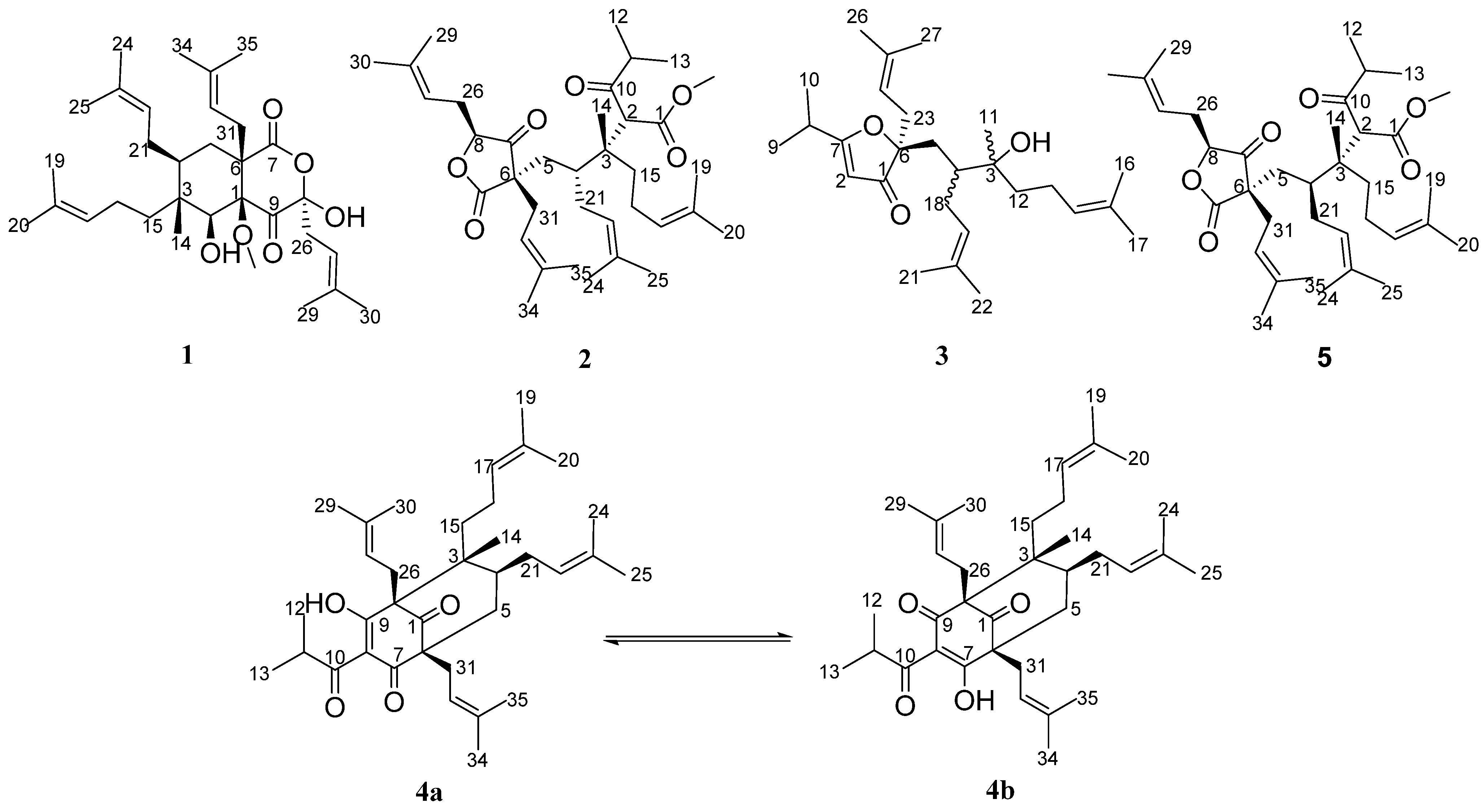 Molecules 29 01756 g001