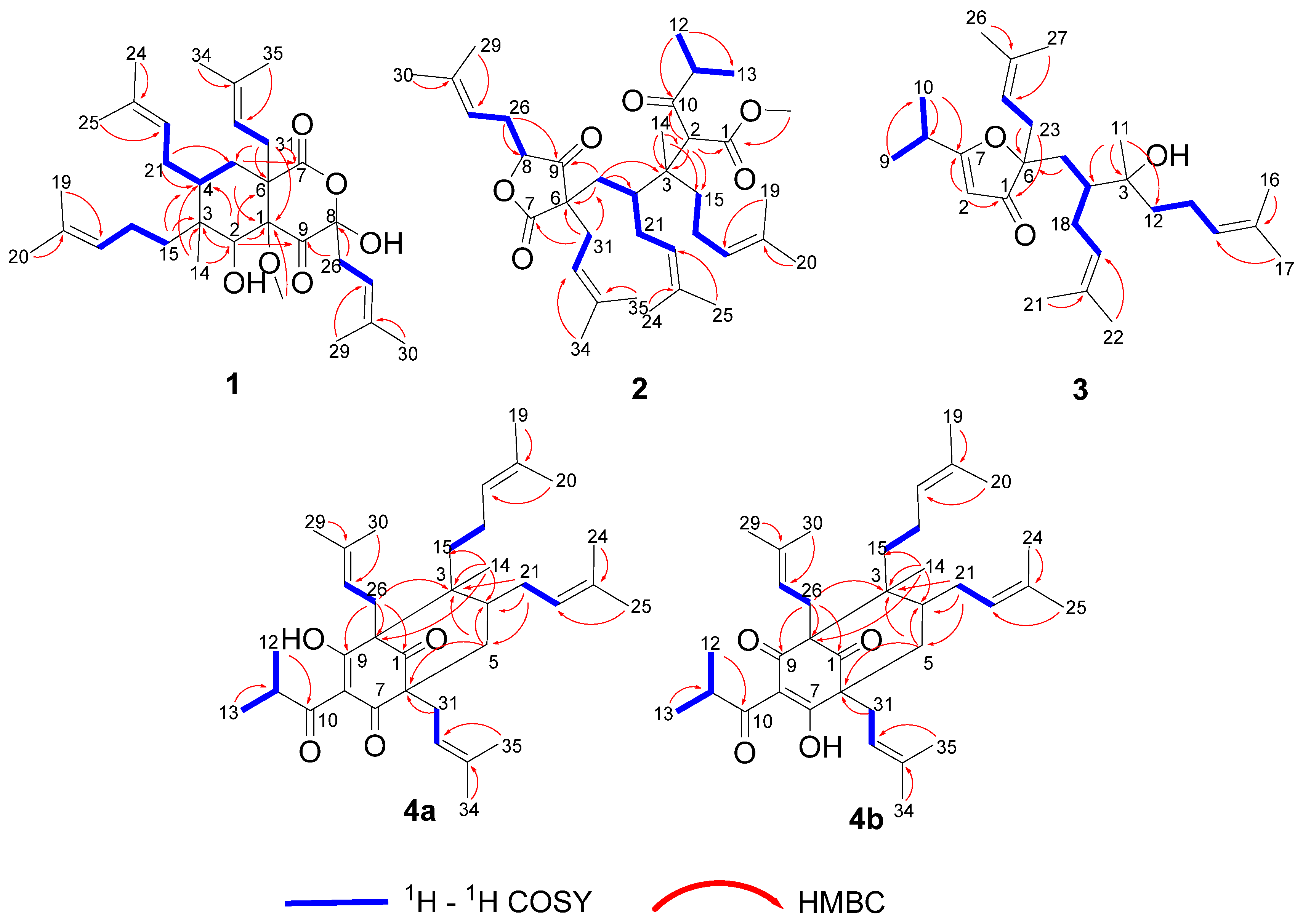 Four New Polyprenylated Acylphloroglucinols from Hypericum