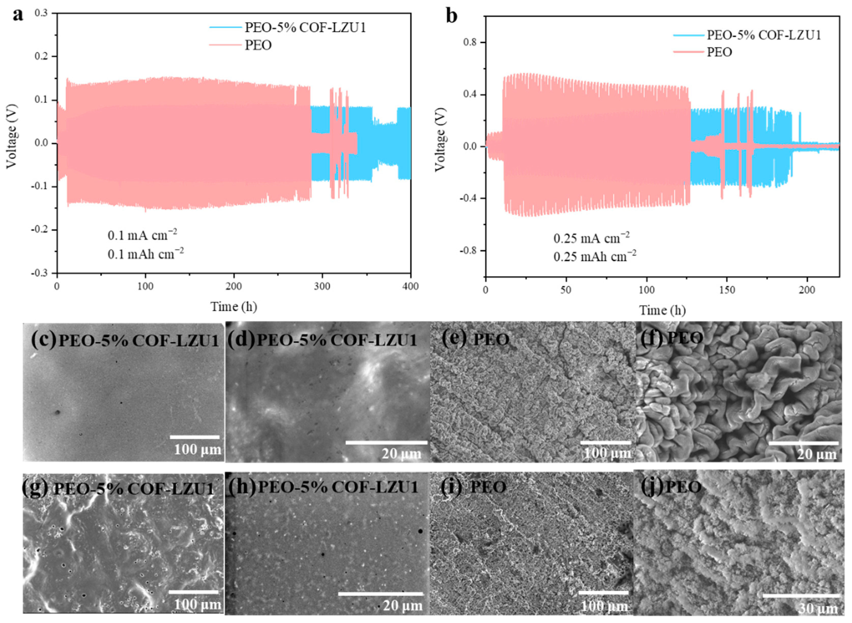 Molecules 29 01759 g005