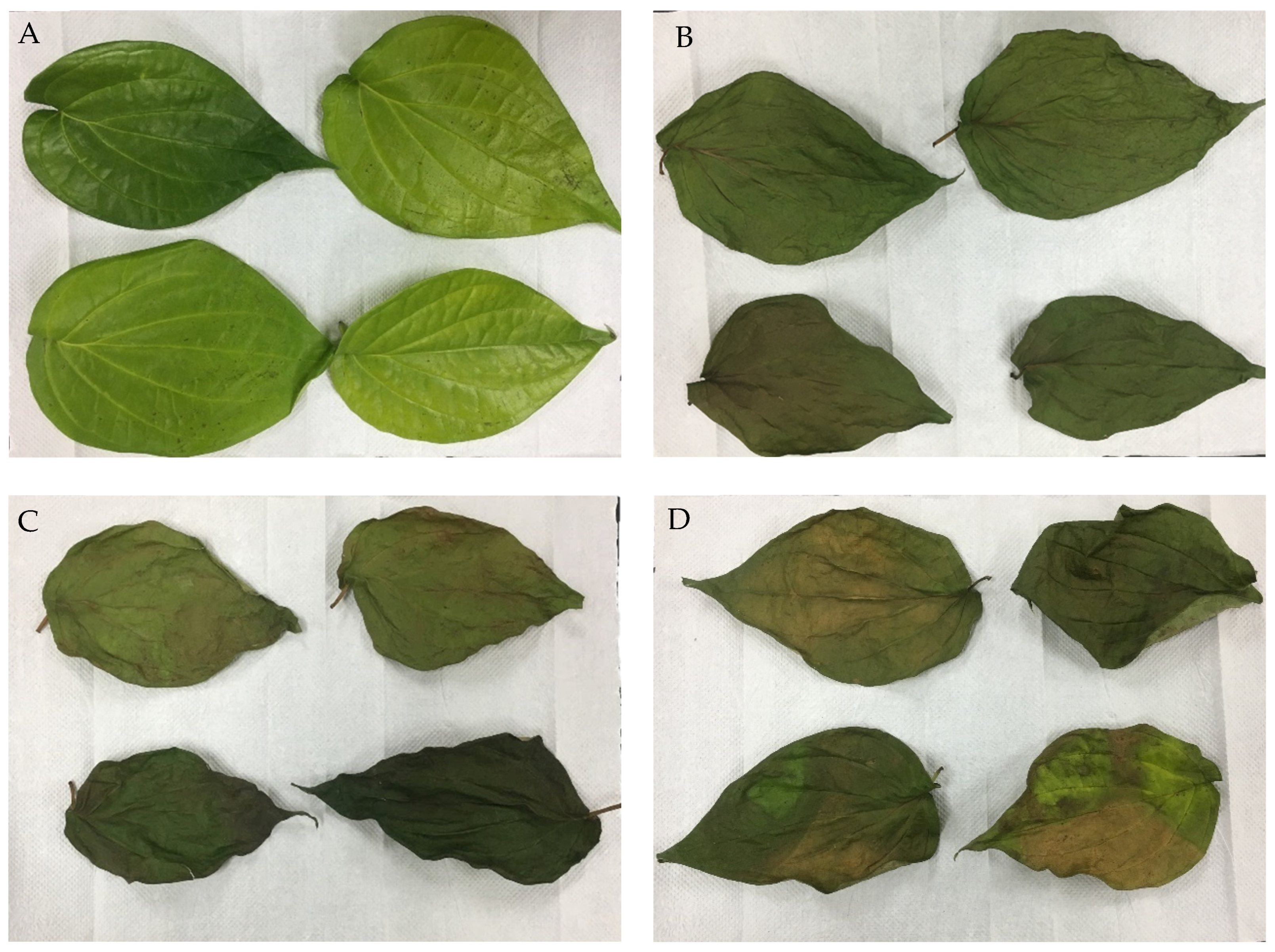 Molecules 29 01762 g001