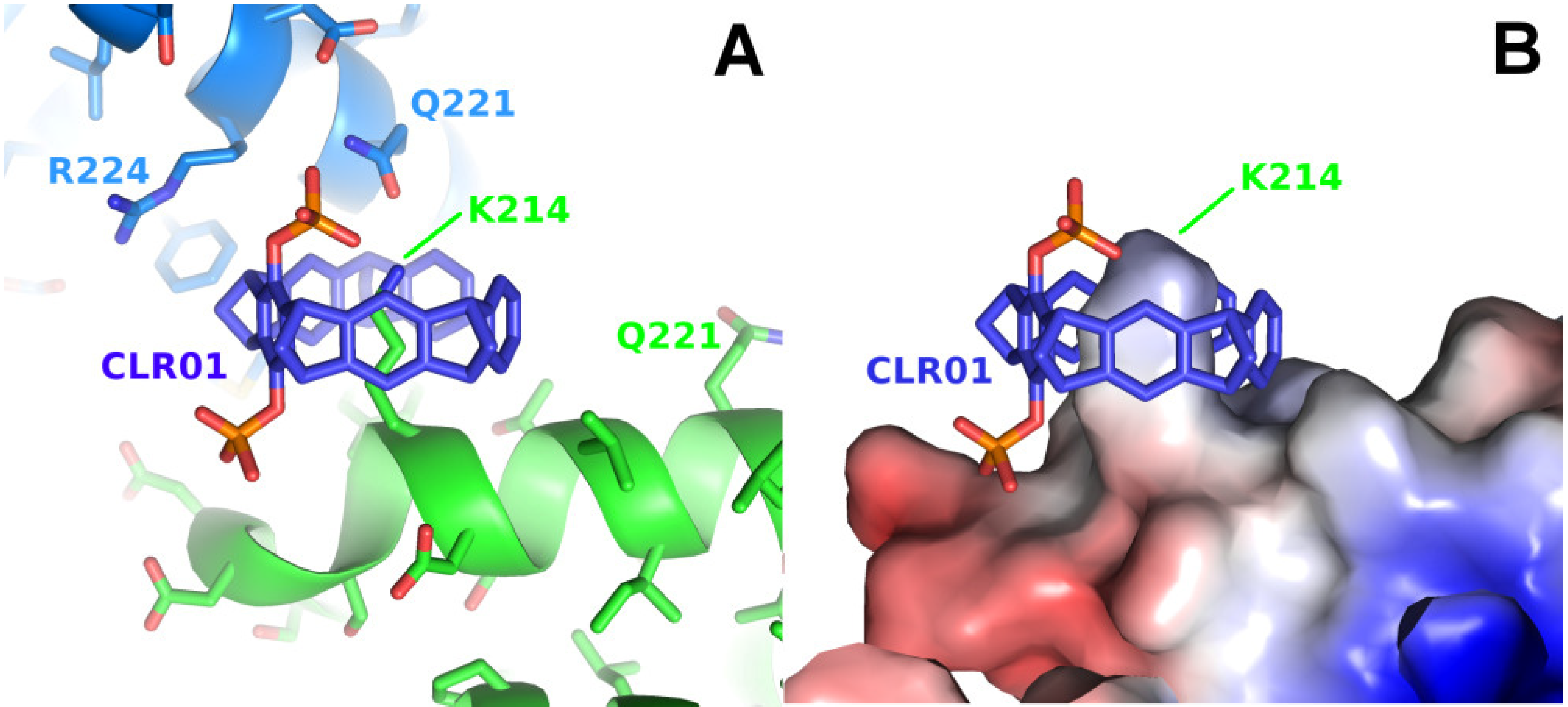 Molecules 29 01764 g002 Molecules 29 01764 g002