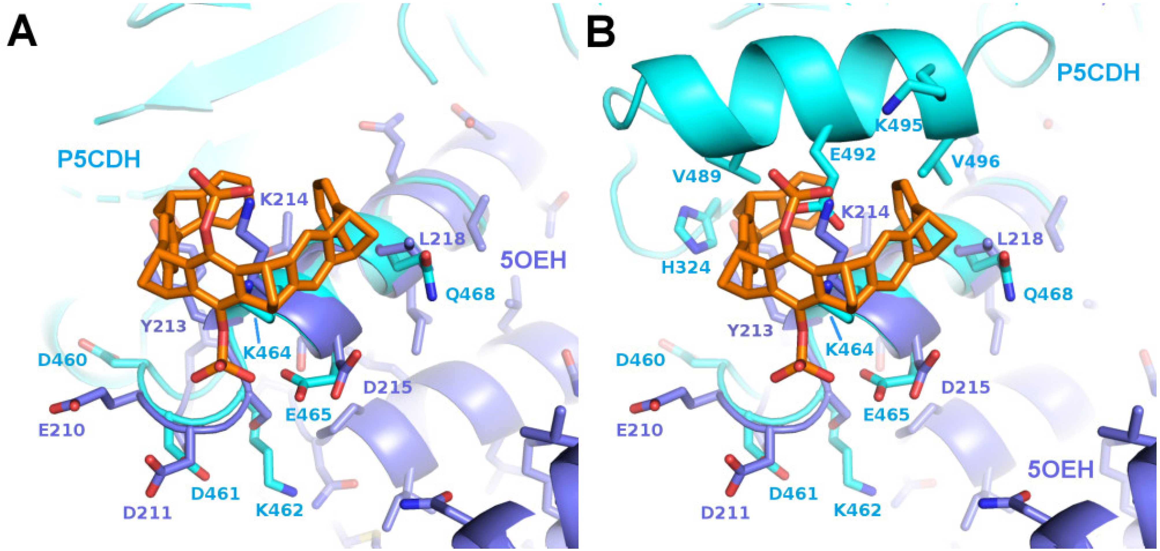 Molecules 29 01764 g004 Molecules 29 01764 g004