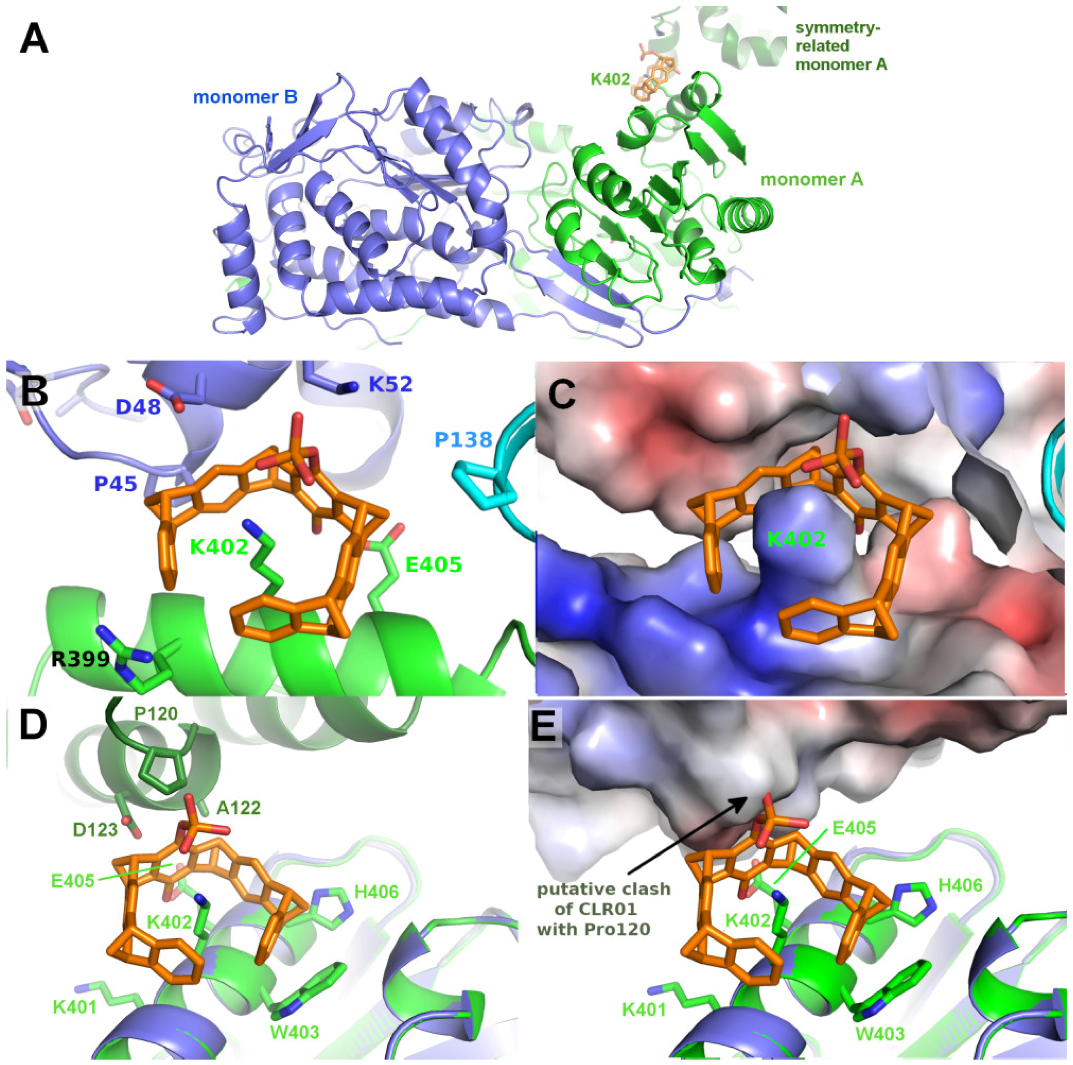 Molecules 29 01764 g006 Molecules 29 01764 g006